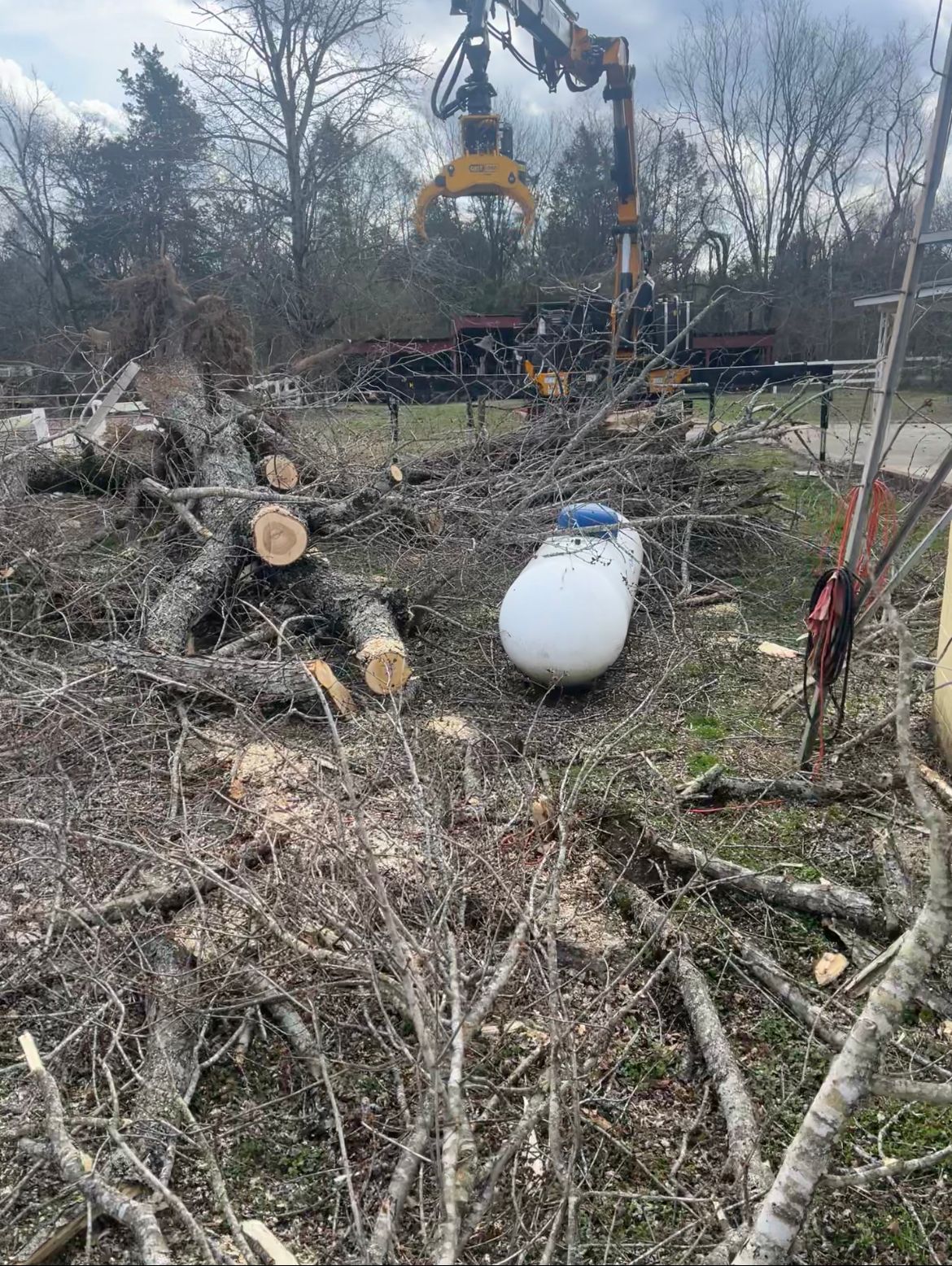 A large pile of logs and branches in a field with a crane in the background.
