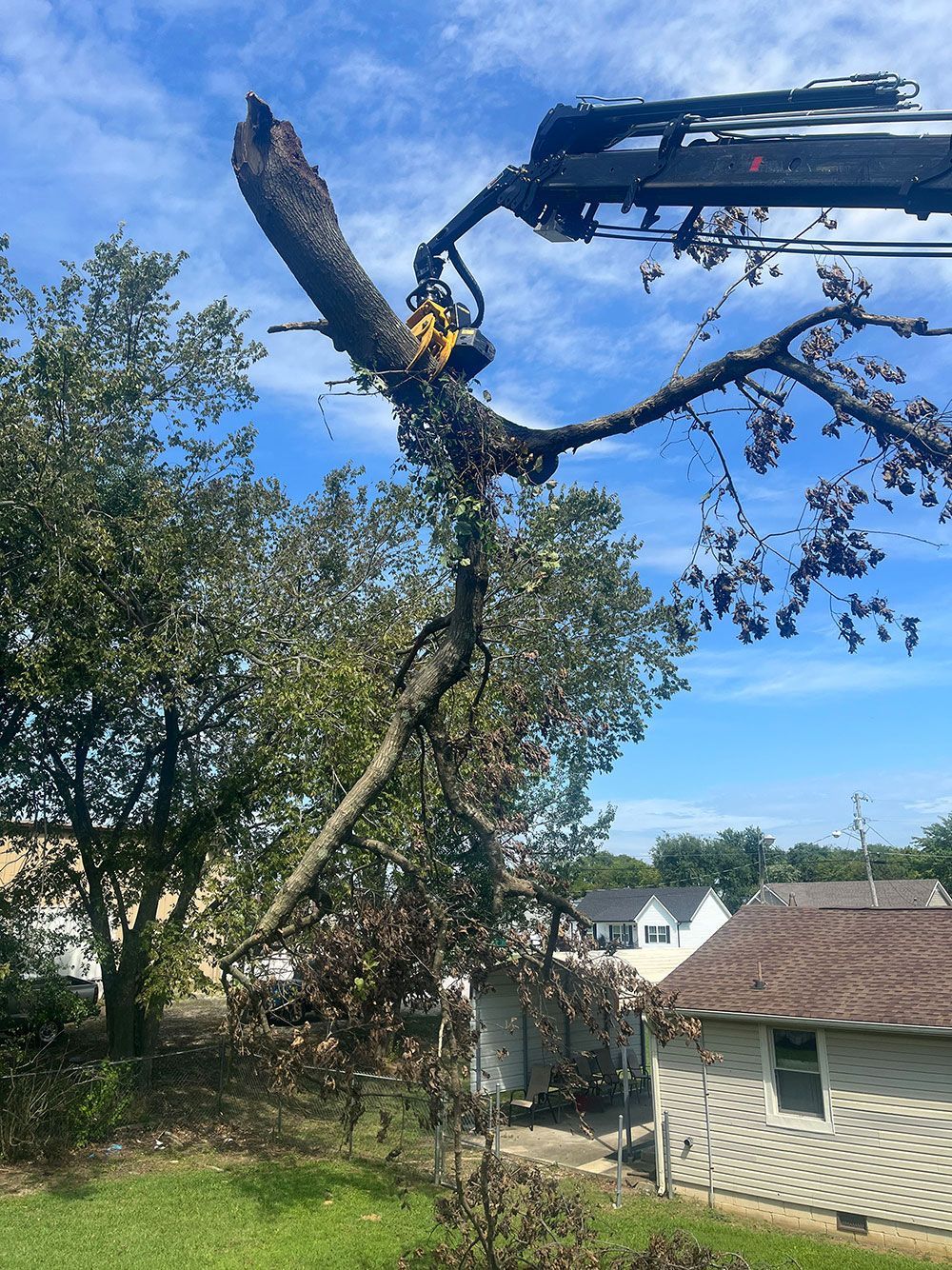 A tree being cut down by a crane in front of a house.
