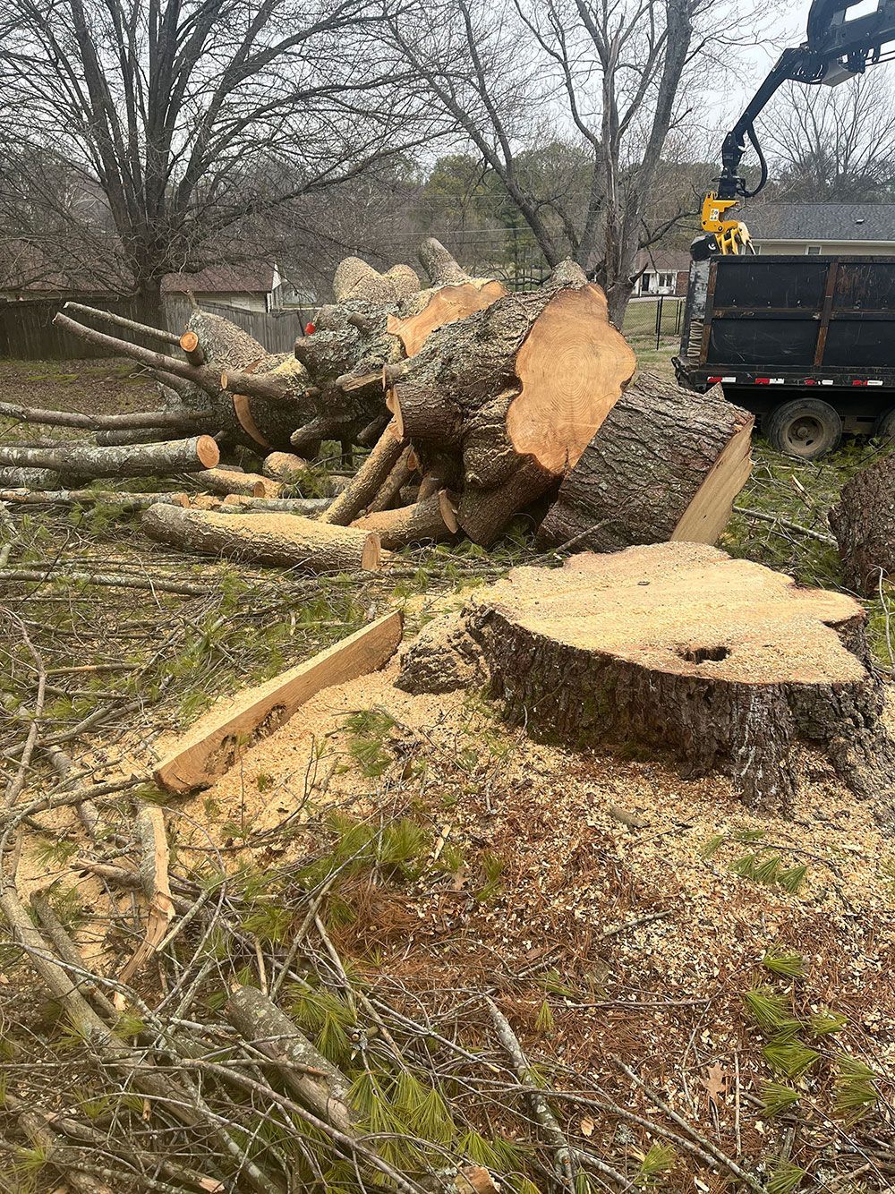 A large tree stump is sitting in the middle of a field next to a dumpster.