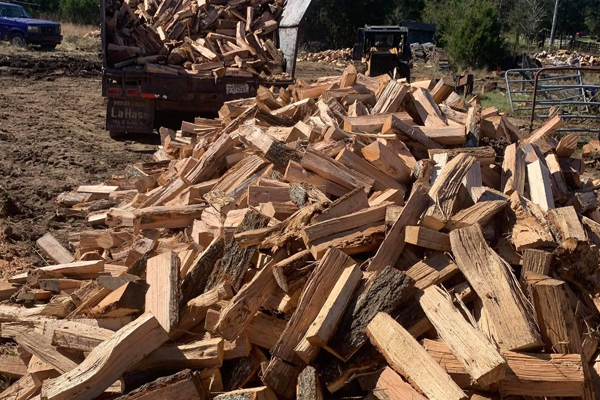 A large pile of wood is sitting on top of a dirt field.