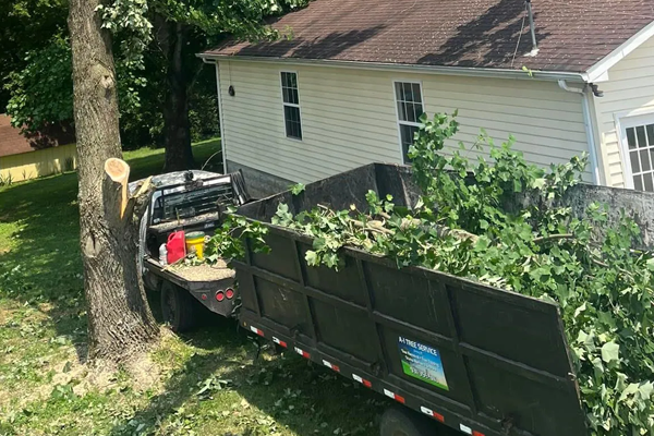 A dump truck filled with branches and leaves is parked in front of a house.