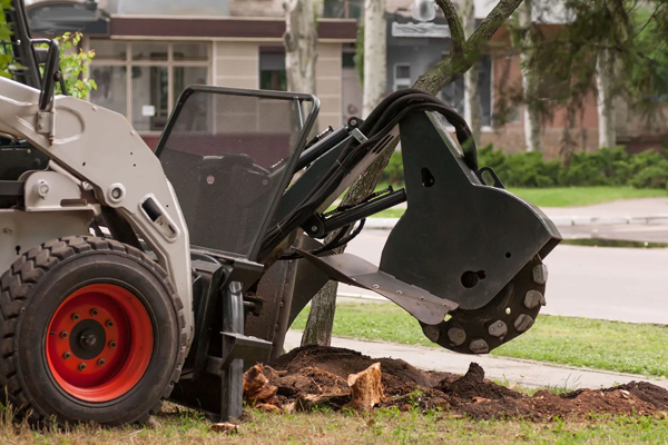 A stump grinder is cutting a tree stump in a yard.