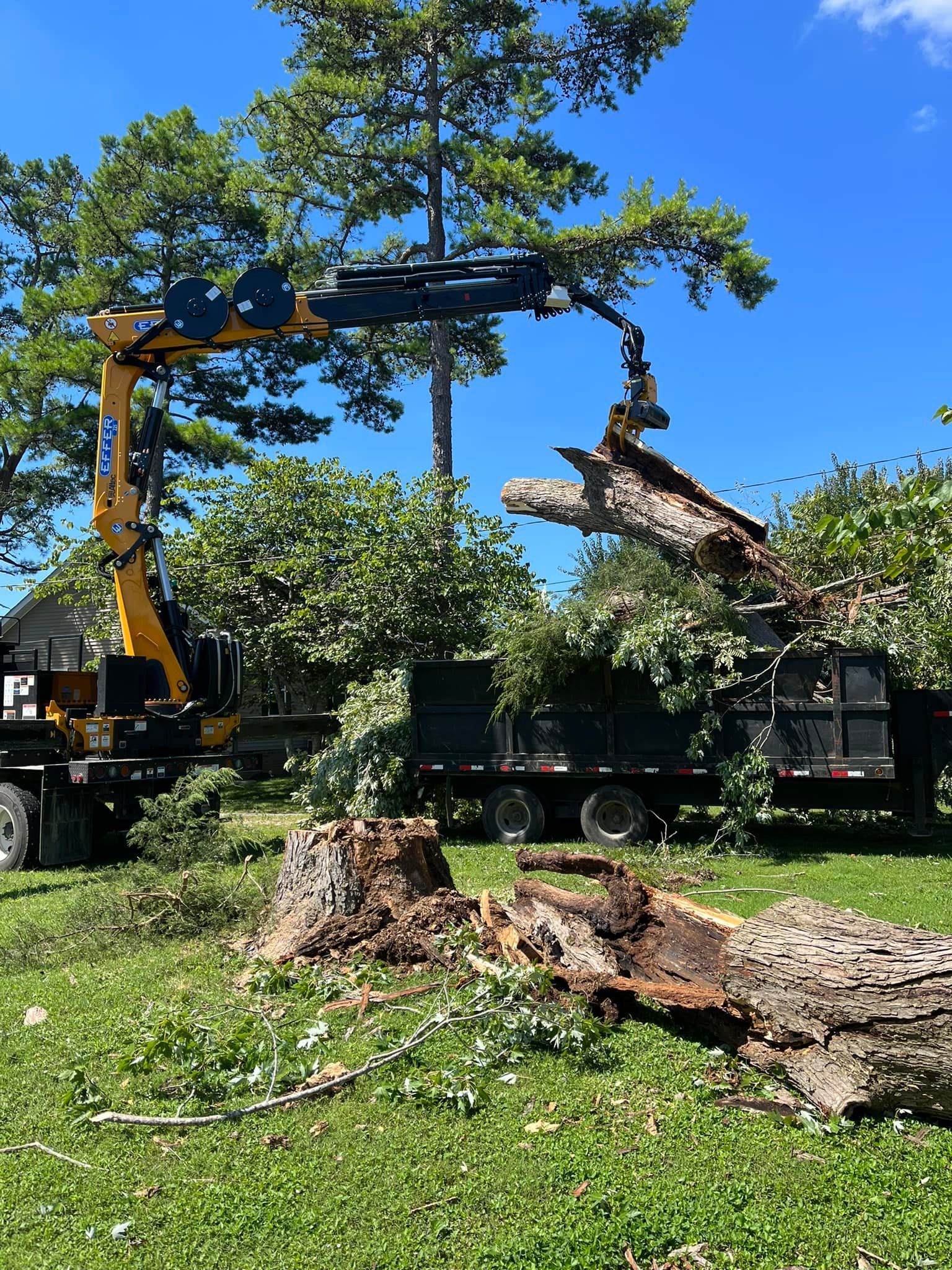A large tree stump is being lifted by a crane.