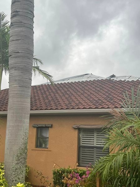 A palm tree is standing in front of a house with a tiled roof.