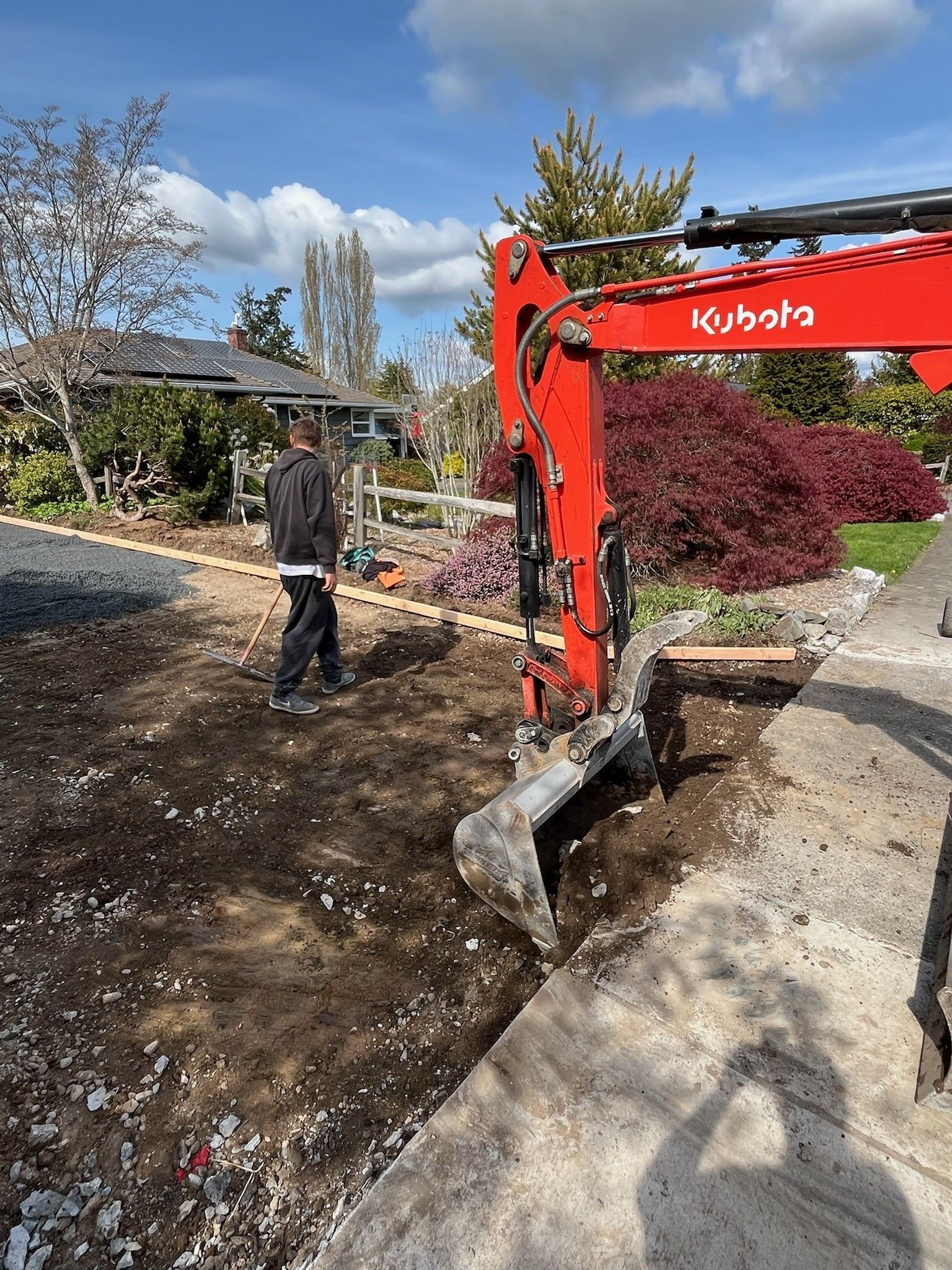 Worker using a Kubota mini excavator to dig a trench beside a sidewalk in a yard.