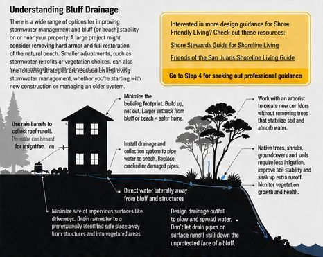 Infographic of bluff drainage