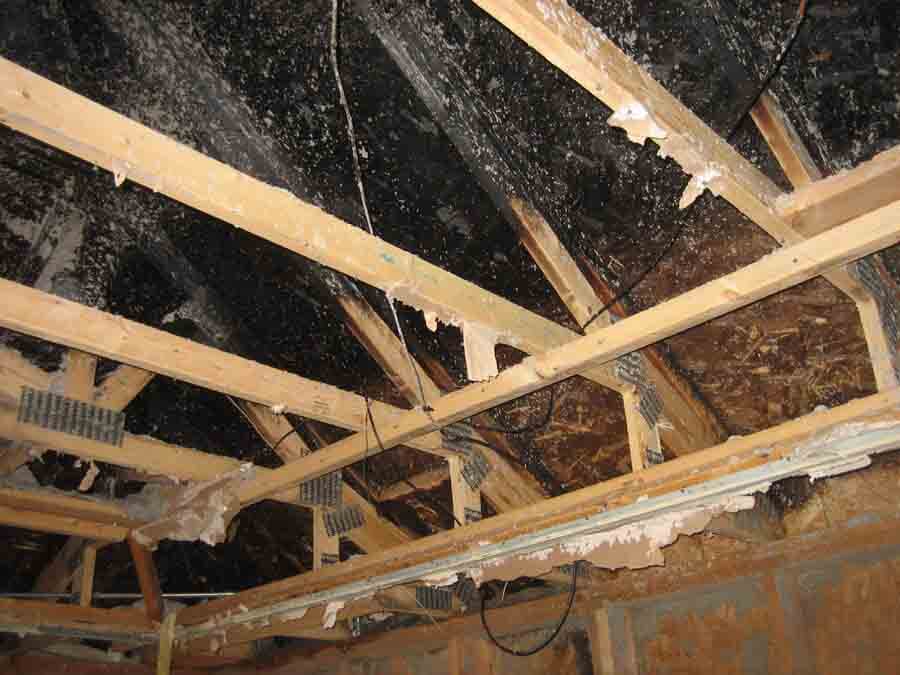 Fire damage restoration
