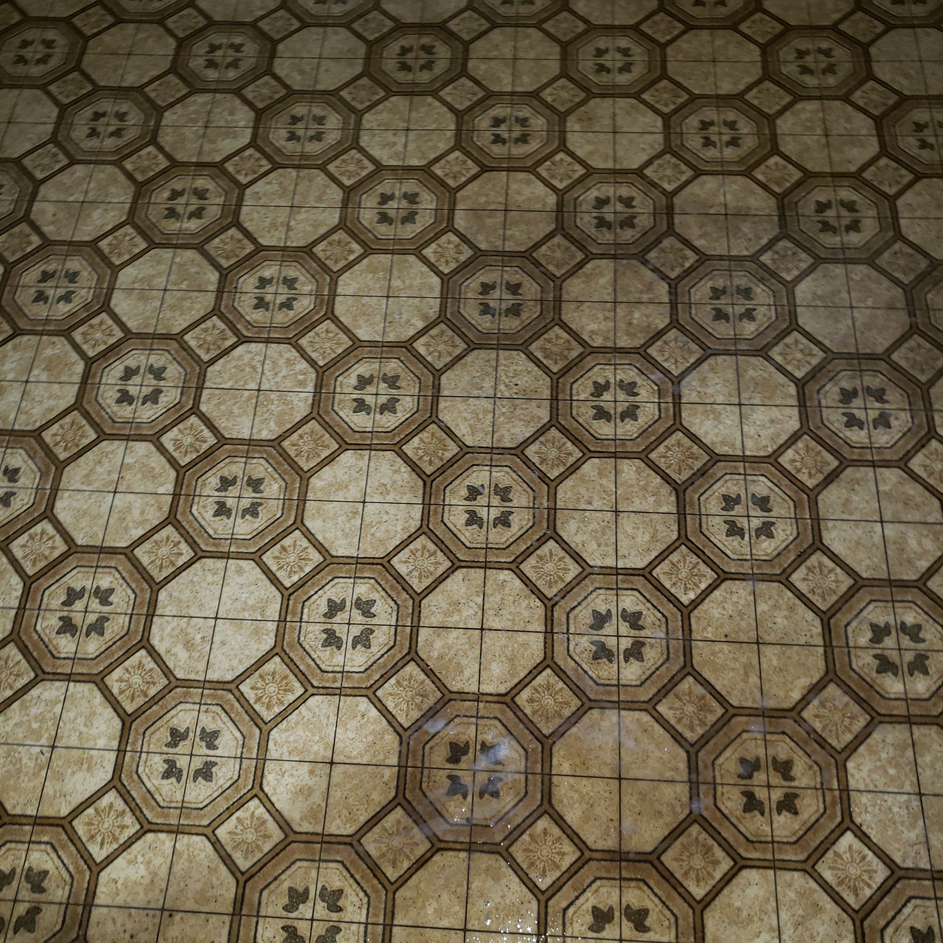 a tiled floor with a pattern of circles and squares