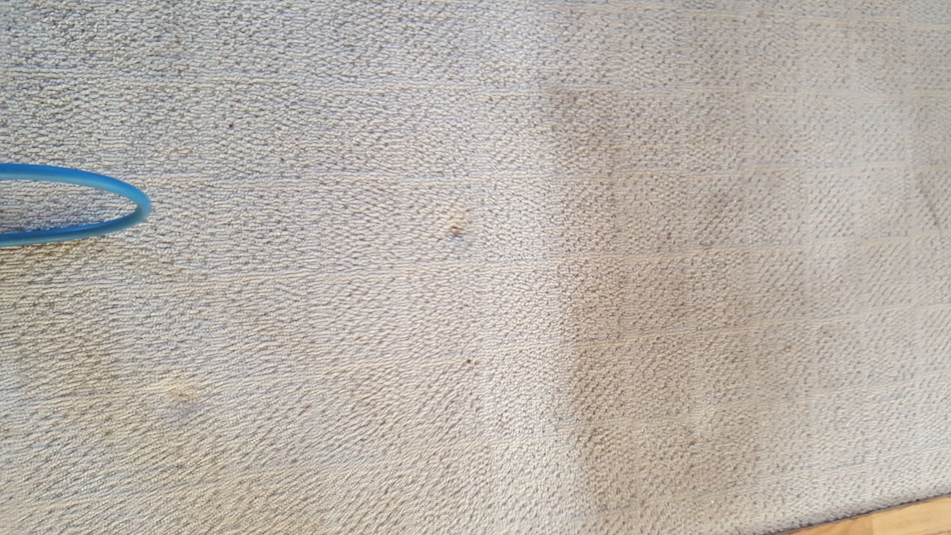 a close up of a carpet with a blue brush on it