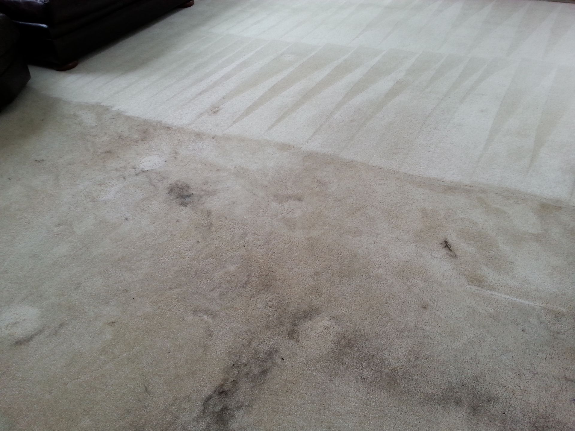 a living room with a dirty carpet and a couch