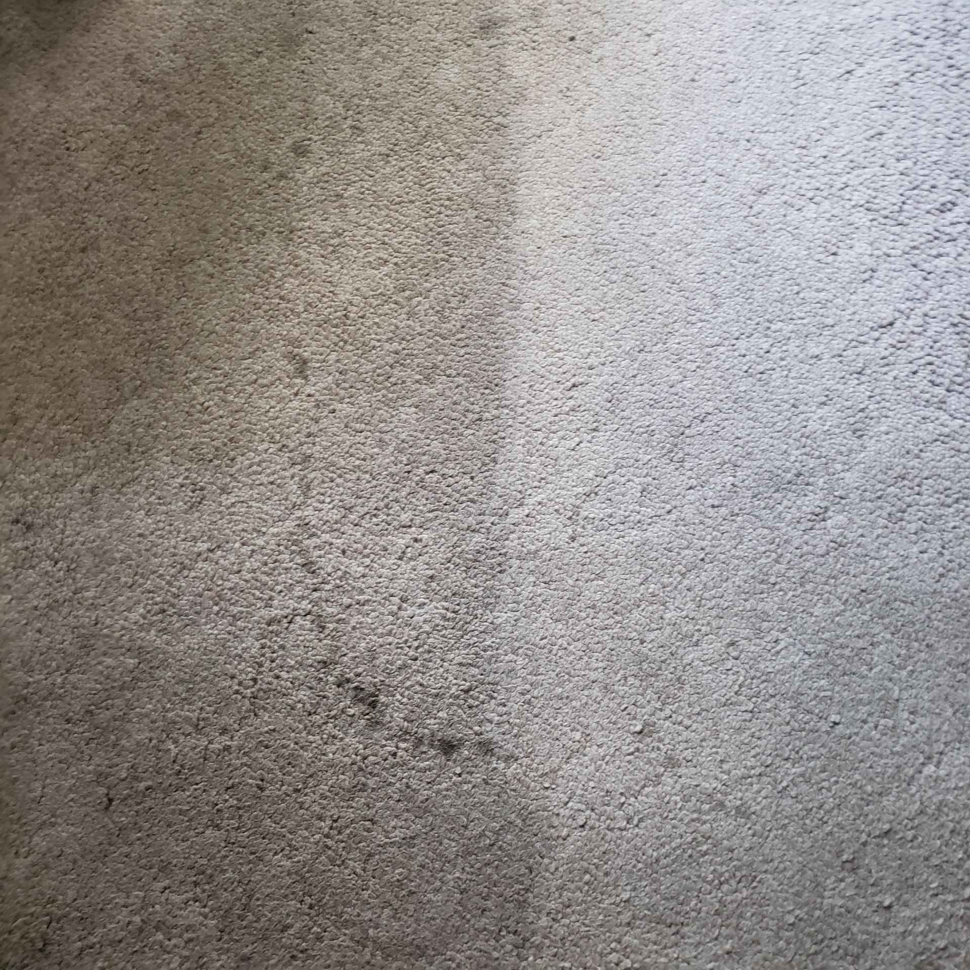 a close up of a dirty carpet next to a clean carpet