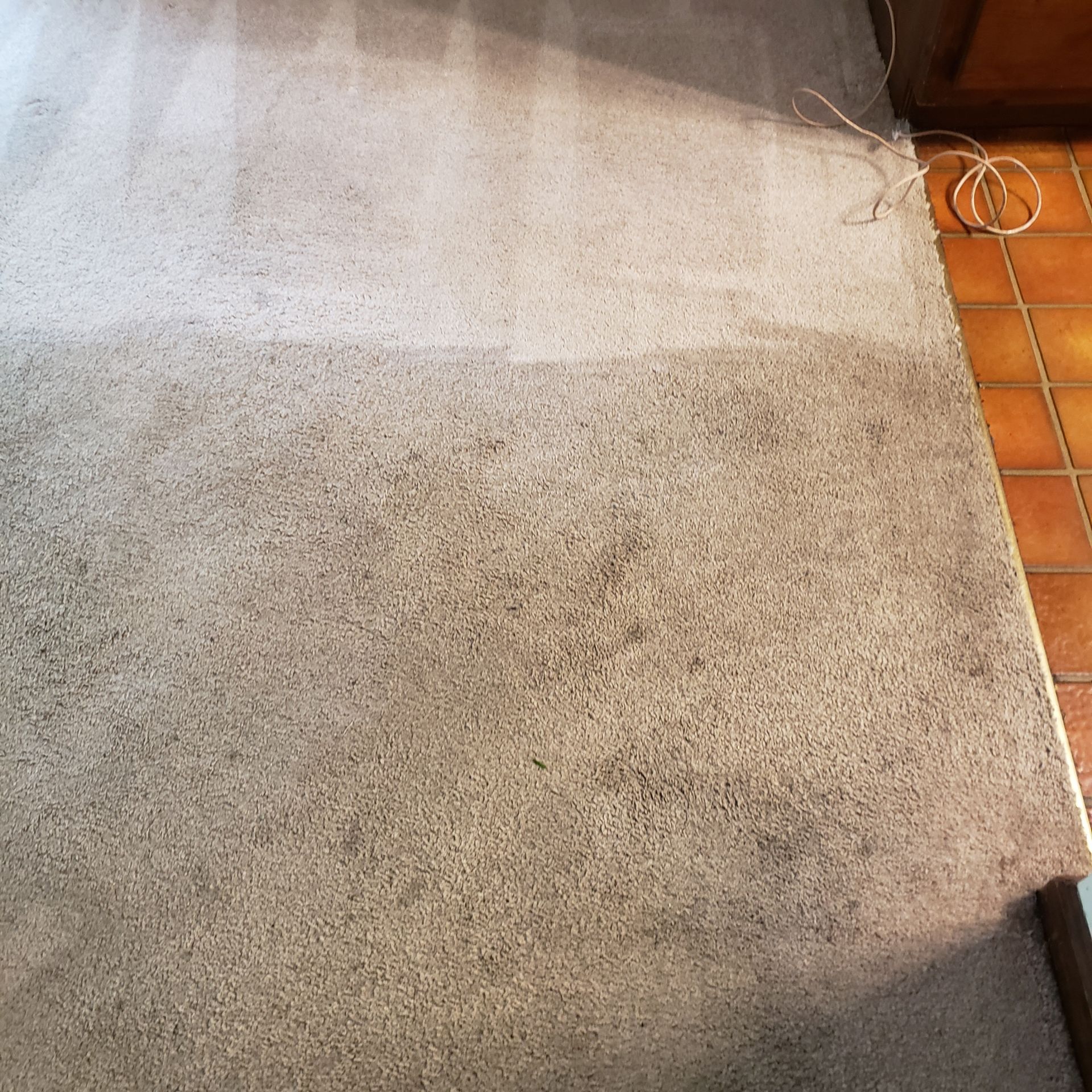 a carpet is being cleaned in a living room next to a tile floor