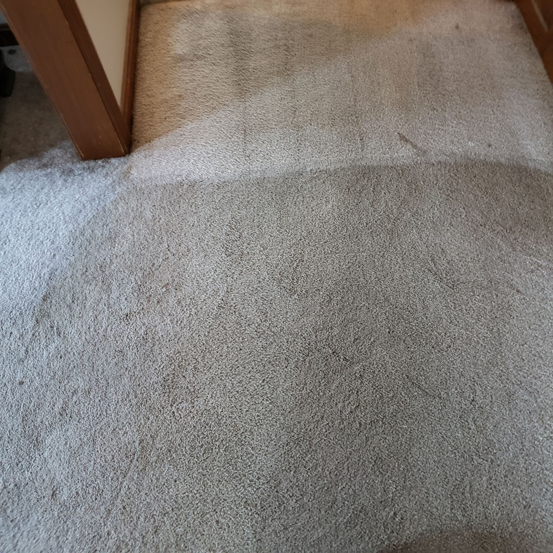 a close up of a carpet in a room with a door in the background