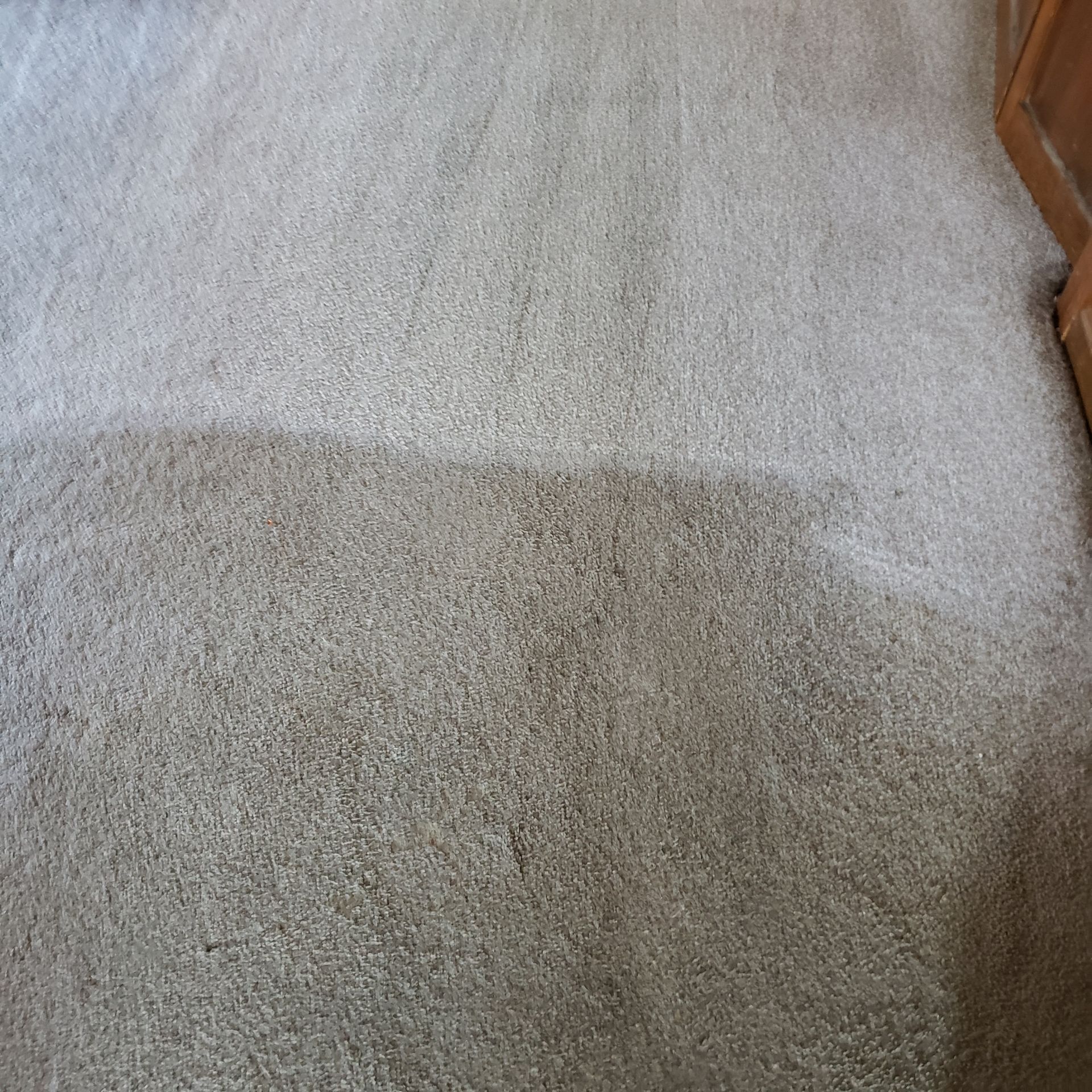 a close up of a carpet with a stain on it