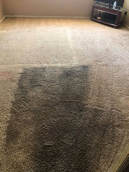 a living room with a carpeted floor and a tv stand