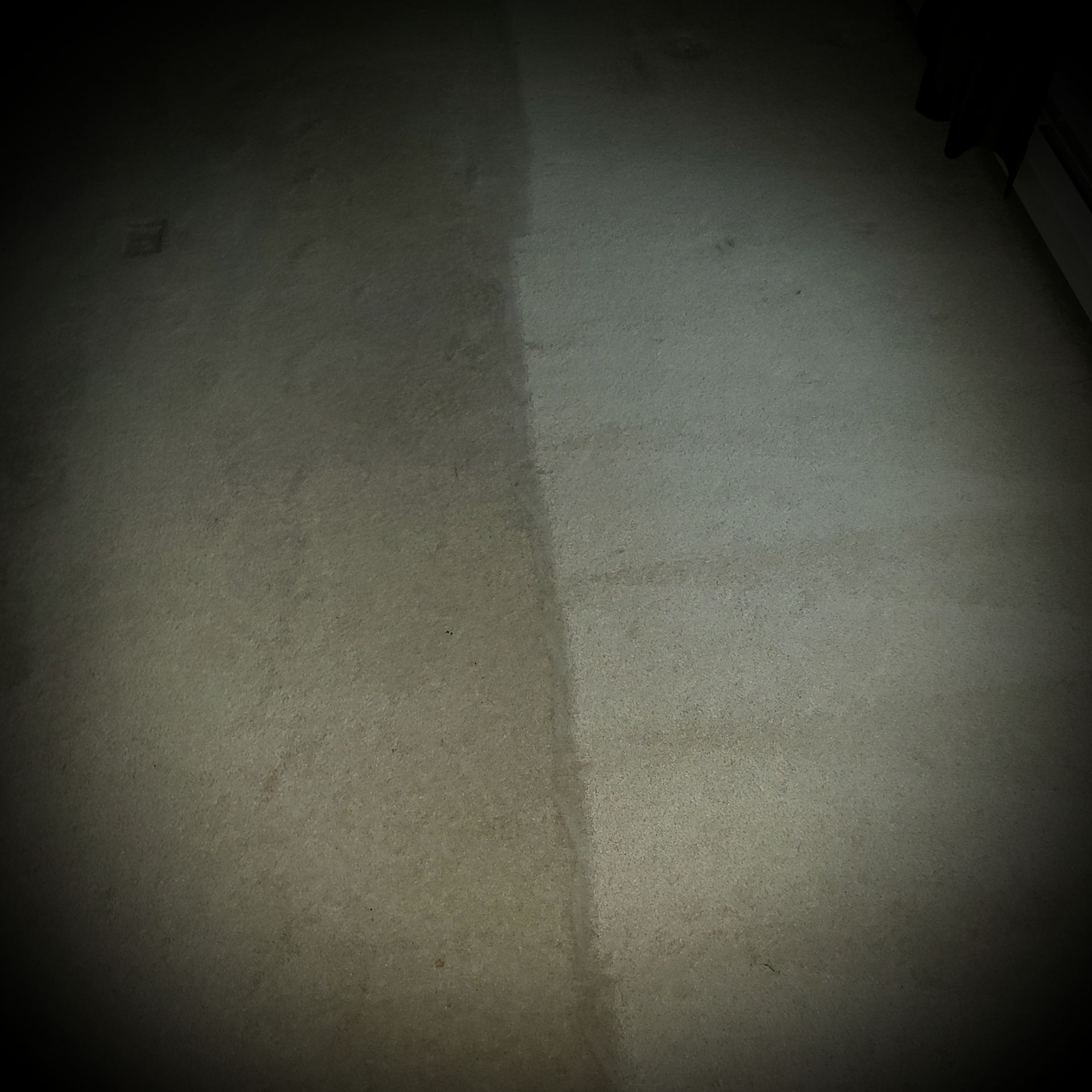 a black and white photo of a carpet with a stain on it