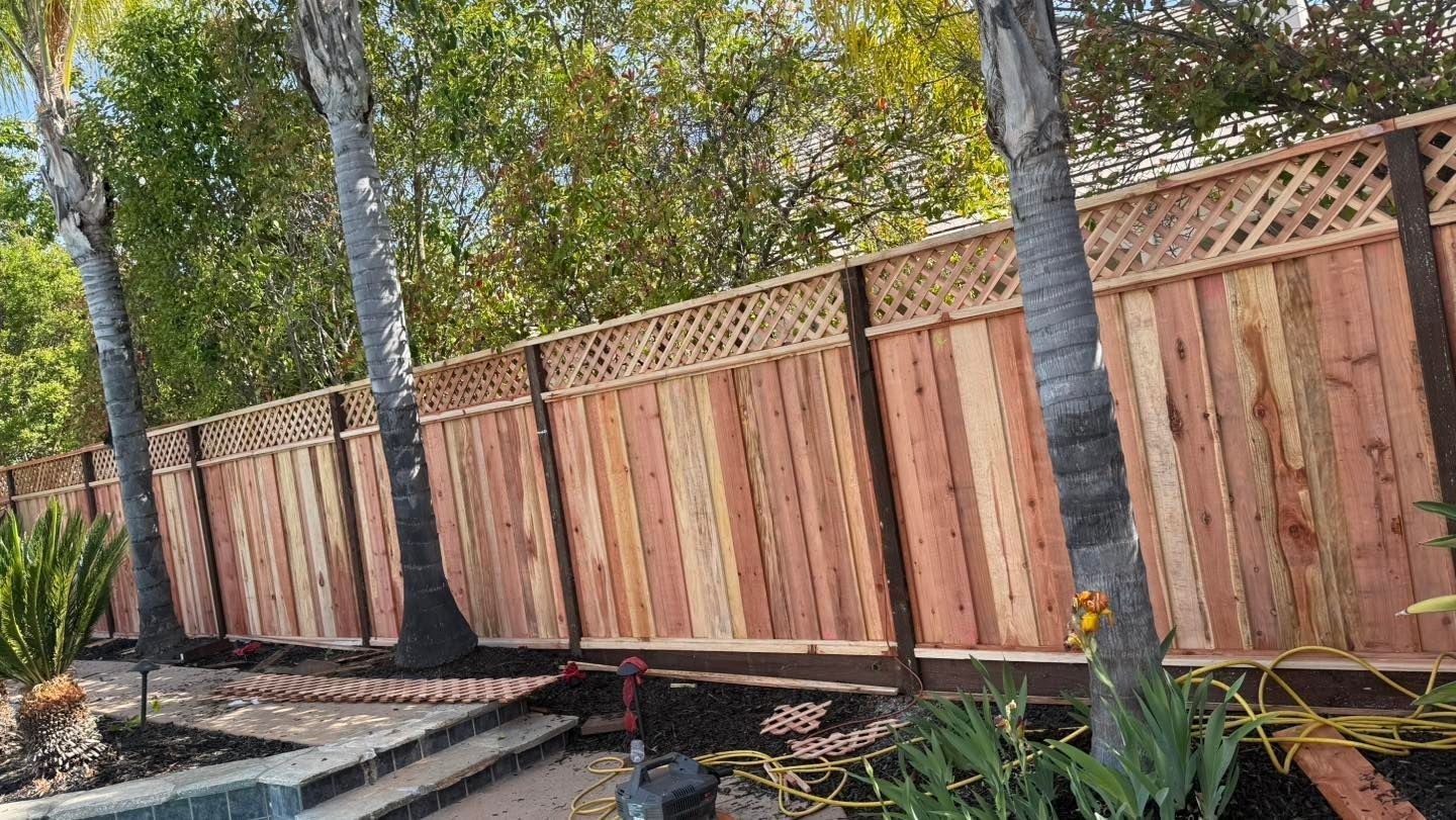 Wooden backyard fence with lattice top beside a landscaped garden and tree trunks