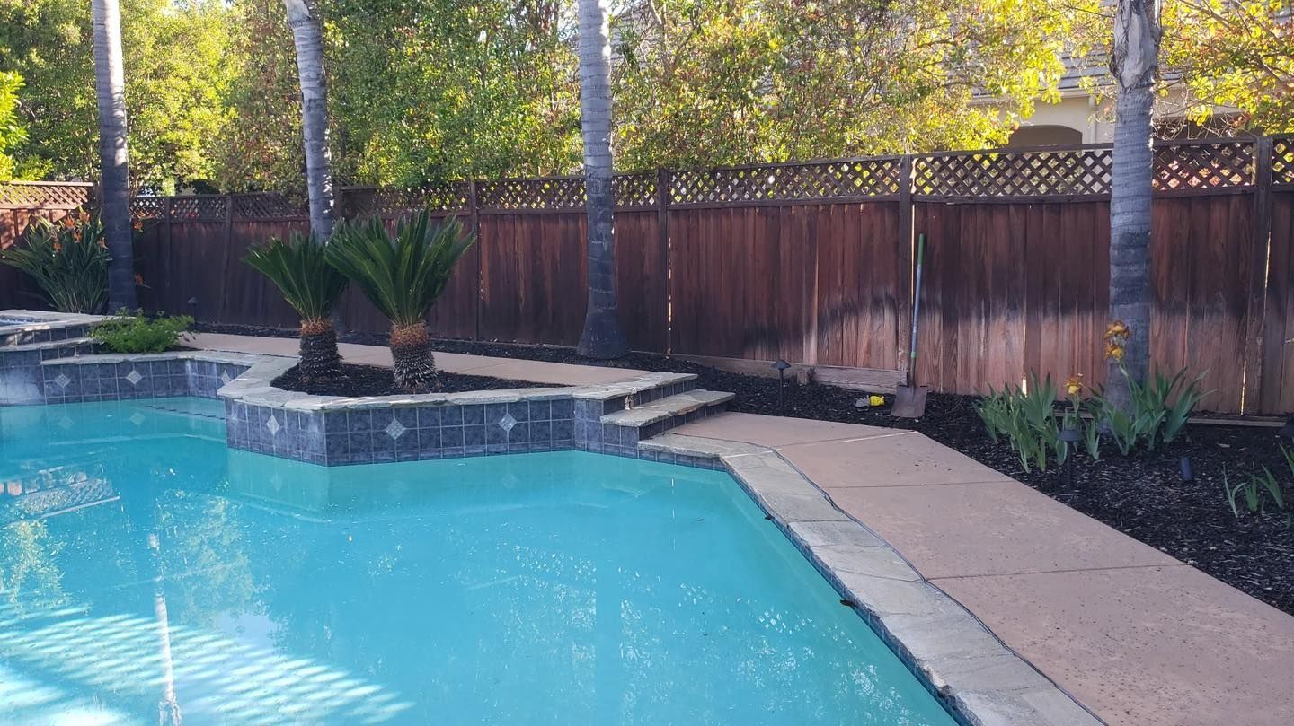 Backyard swimming pool with stone coping, wooden fence, and palm plants in sunlight