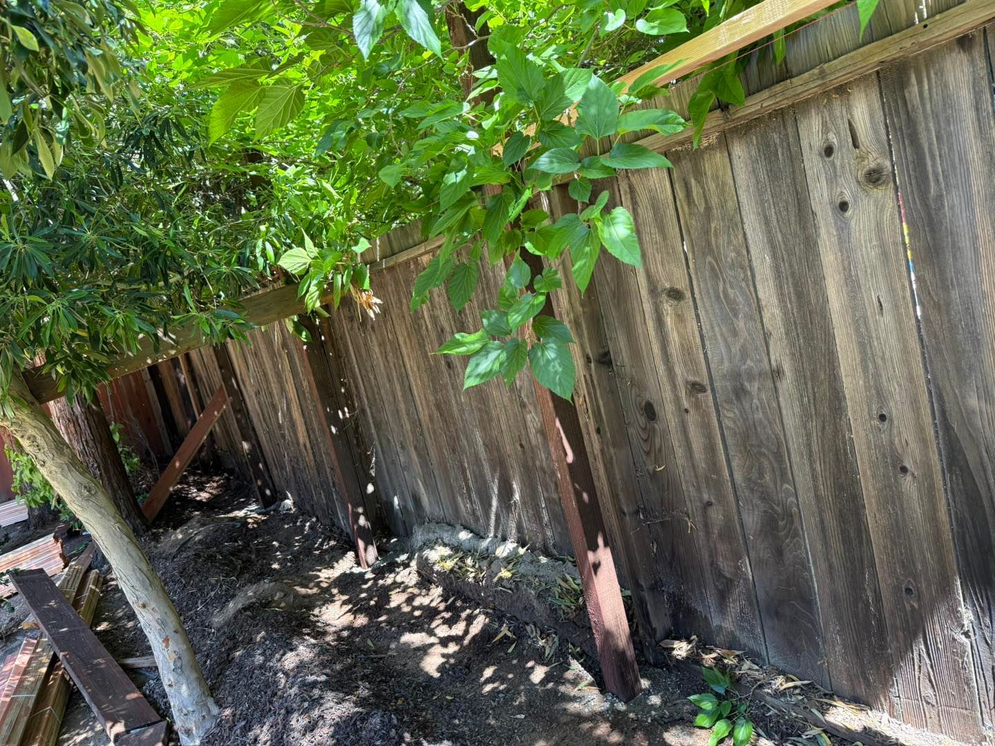 Tilted view of a wooden fence beside a dirt path, shaded by green trees and branches