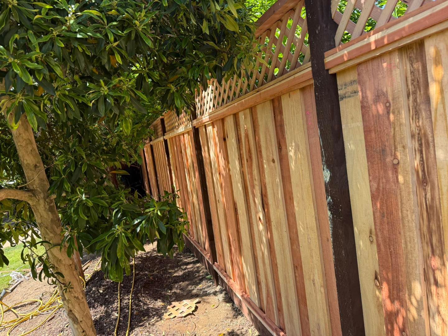 Wooden fence beside a leafy tree in a sunlit yard