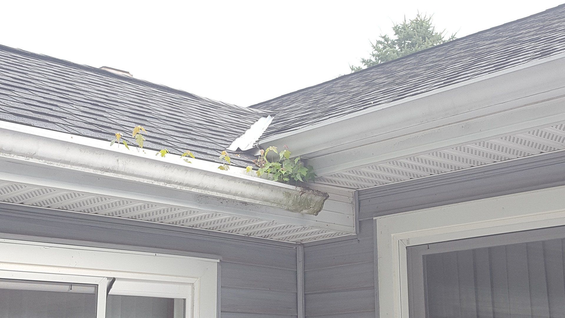 White 5 inch Gutter , 3x4 Downspout, and LeafX