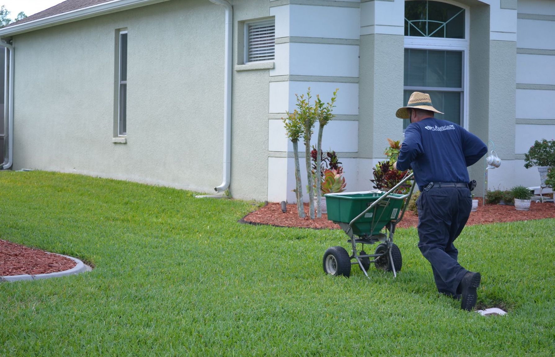 a man is spreading fertilizer on a lush green lawn
