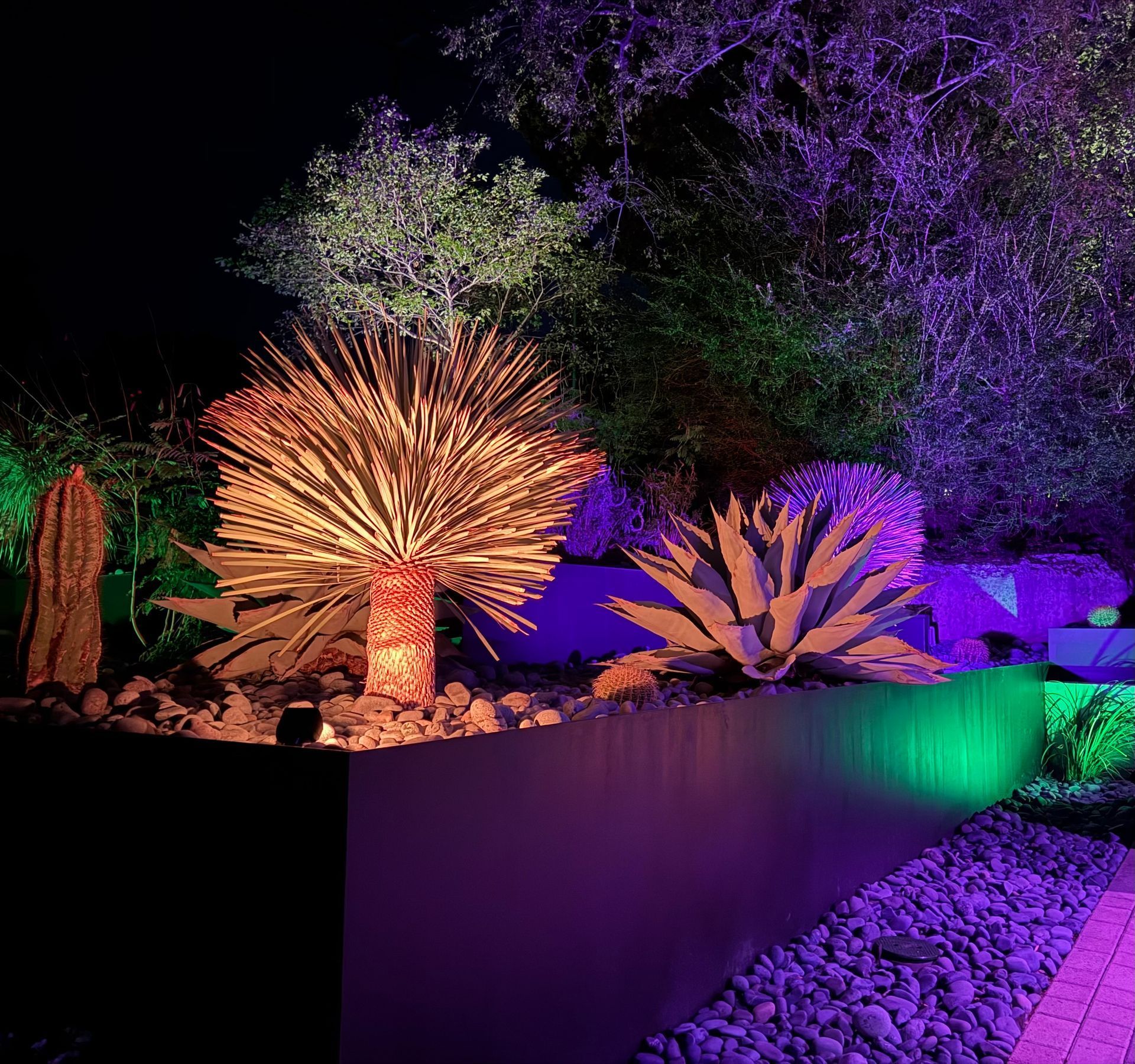 Night garden illuminated with orange, green, and purple lights on various plants and a stone wall.