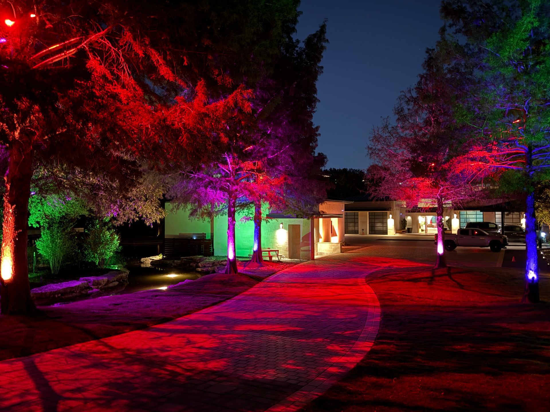 Trees lit with red, green, and blue lights line a path at night, casting colorful shadows.