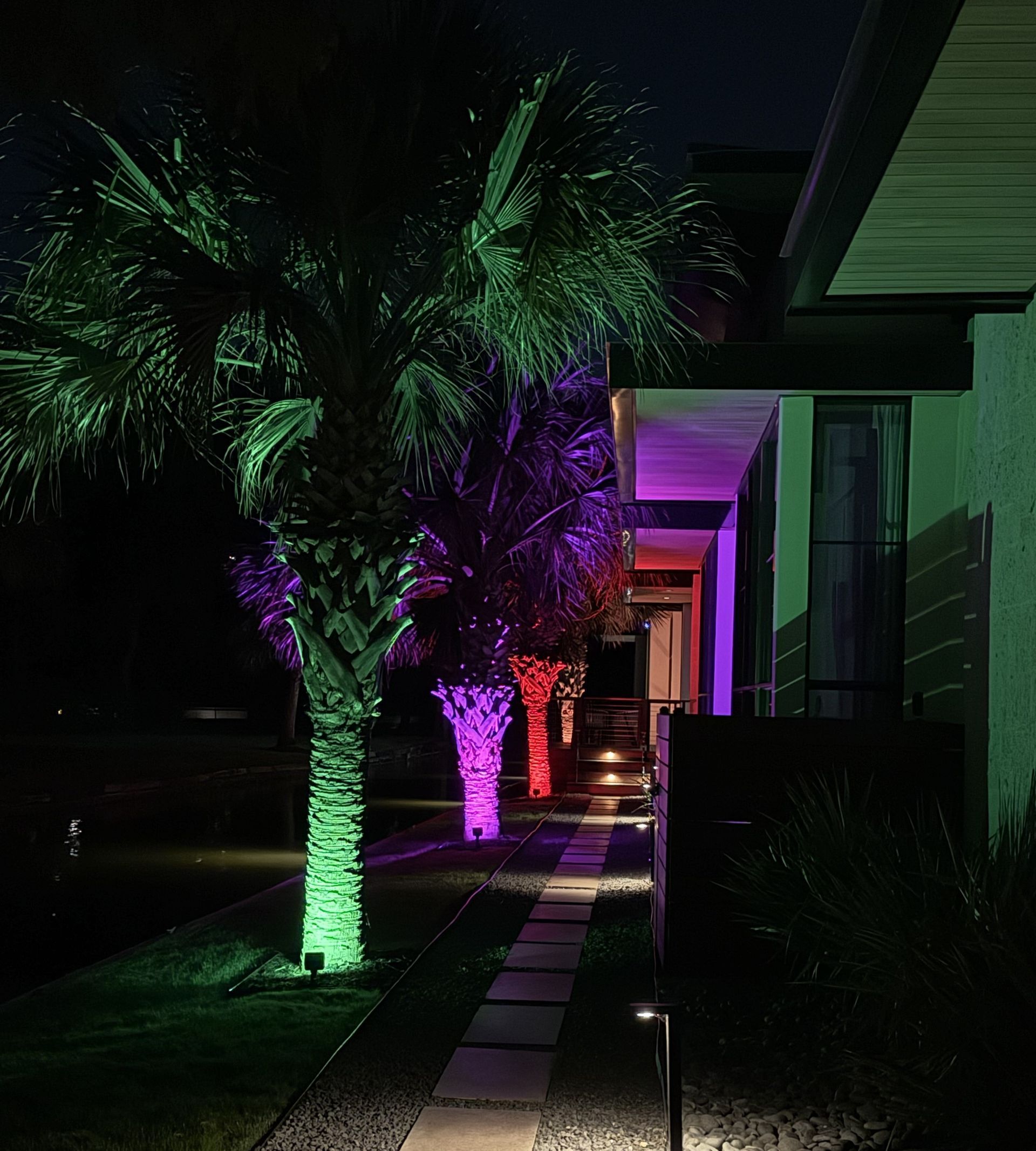 Palm trees illuminated with green, purple, and red lights in front of a house at night.