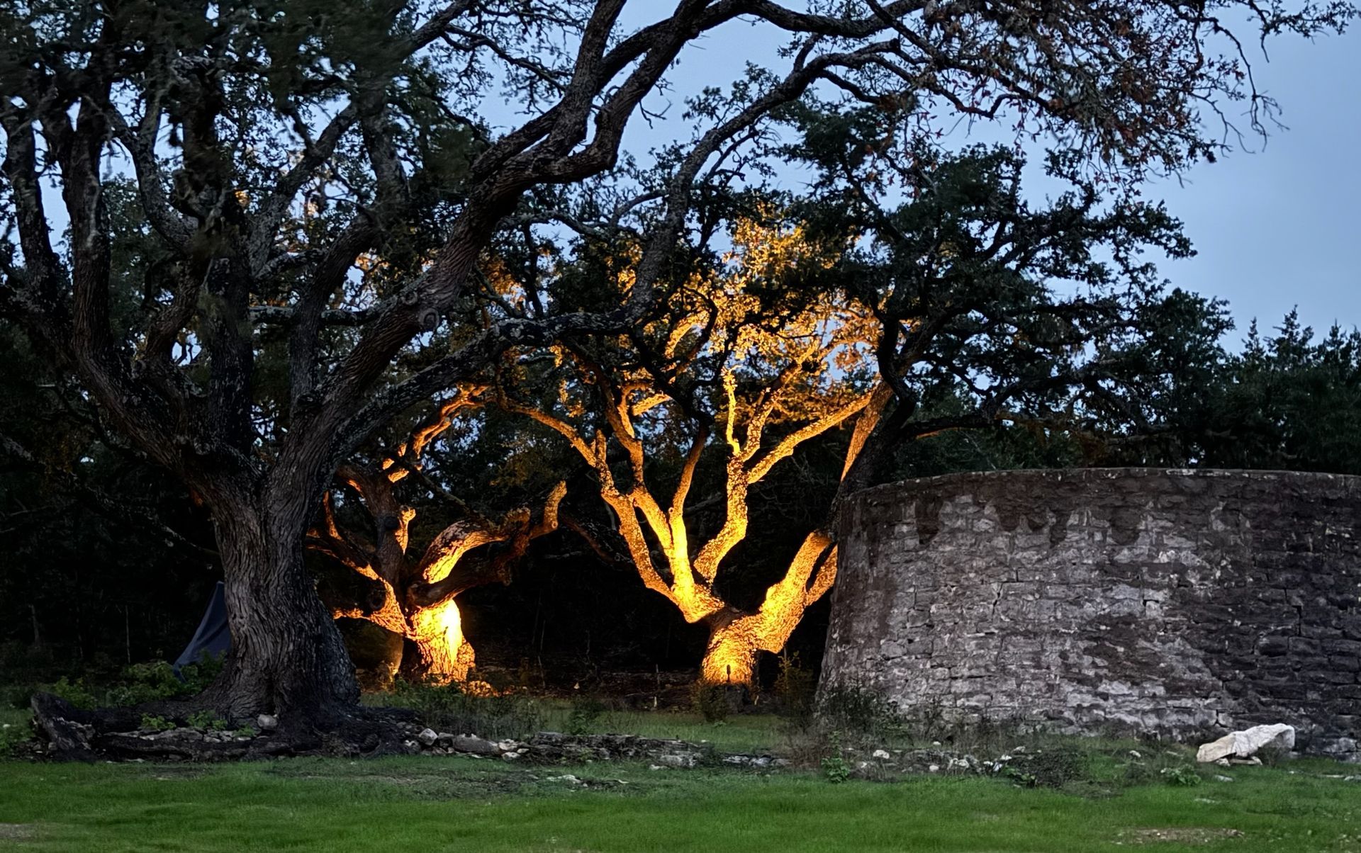 A tree is lit up in front of a stone wall.