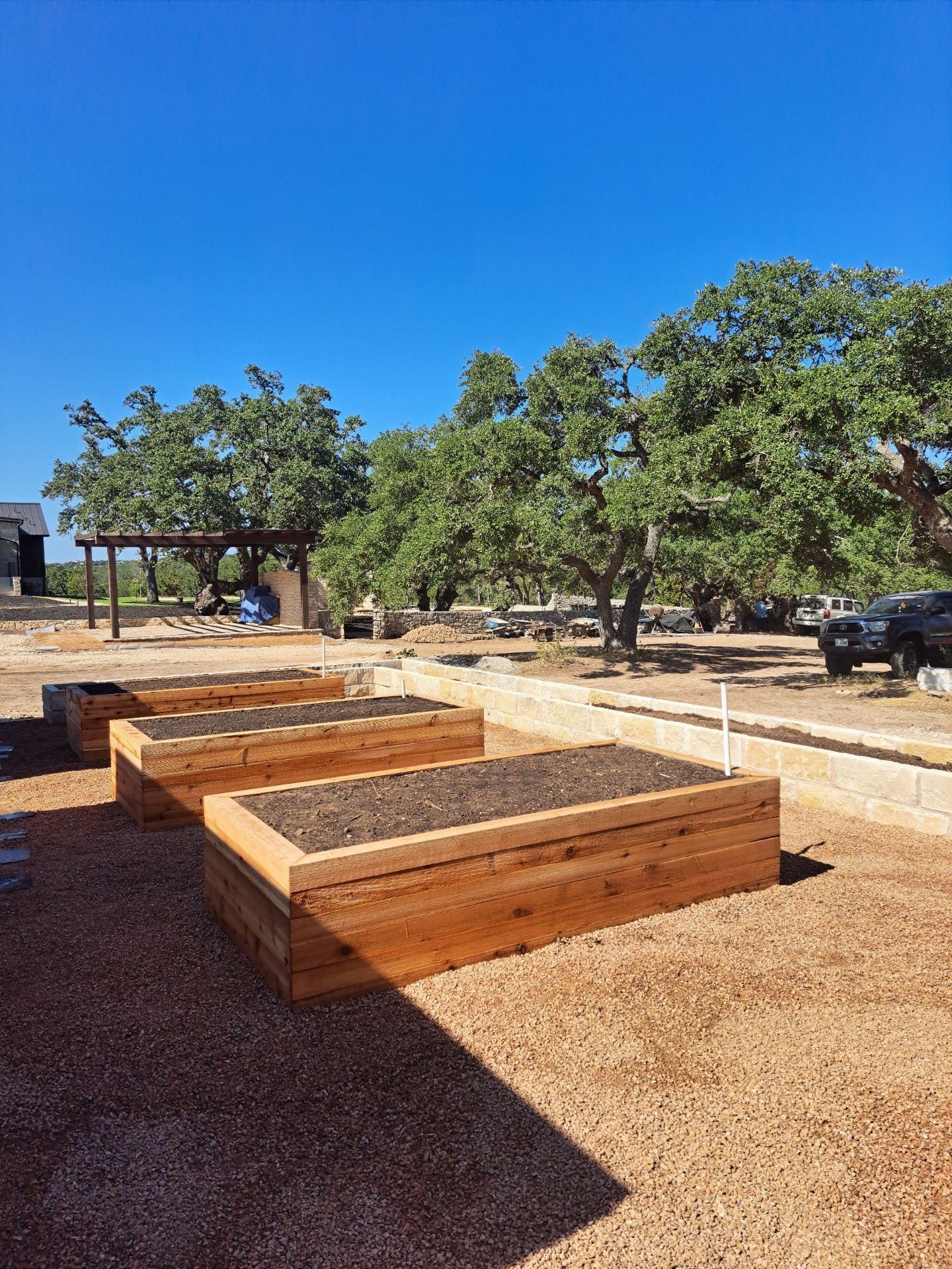 A row of wooden raised beds in a garden with trees in the background.