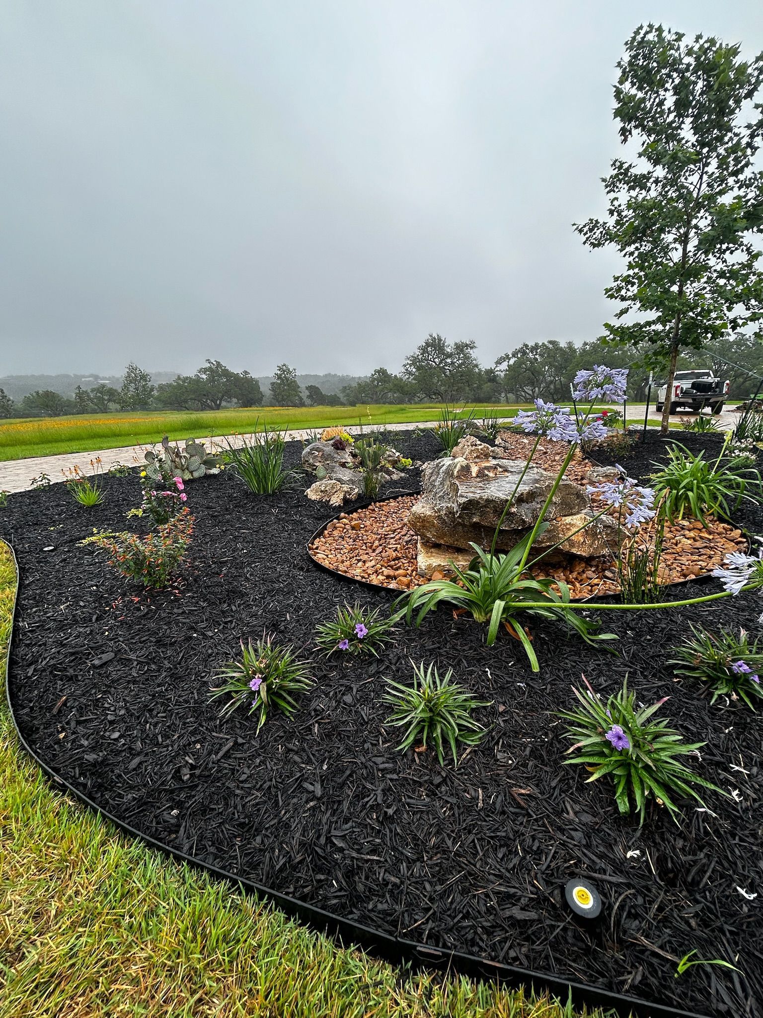 A garden with black mulch and flowers on a rainy day.
