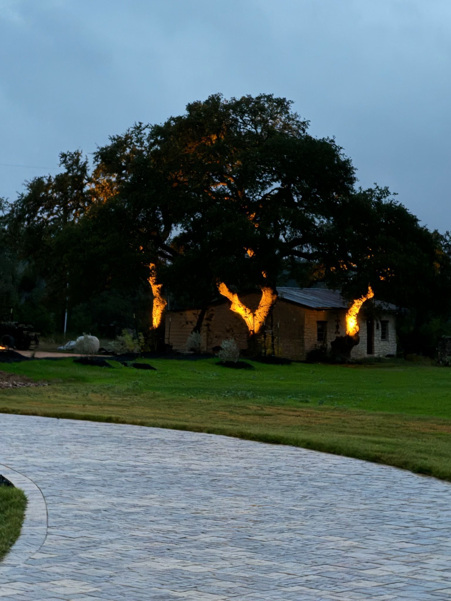 A brick driveway leading to a house with trees lit up at night