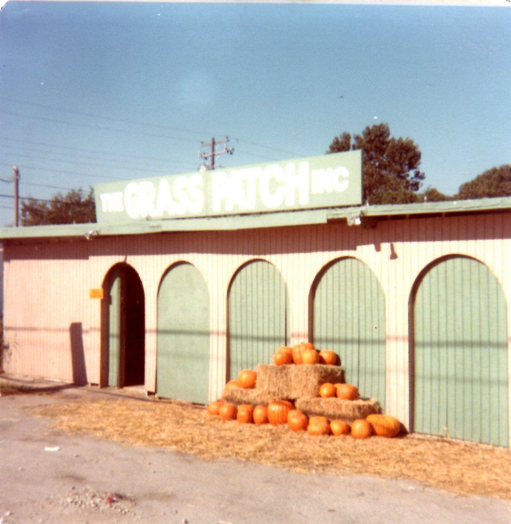 A building with a sign that says the grass patch inc