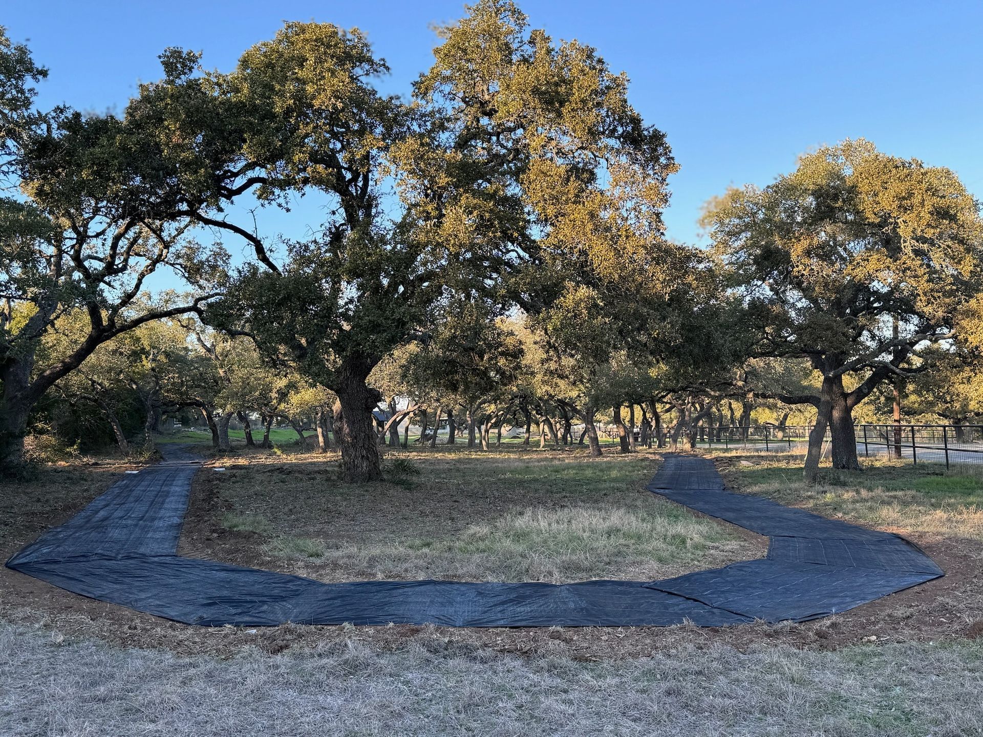 A dirt road surrounded by trees on a sunny day