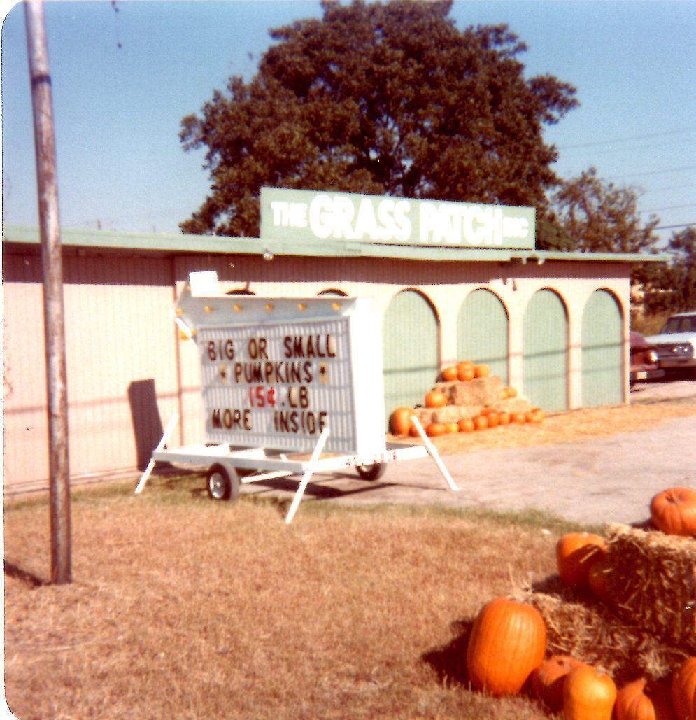 A sign that says big or small pumpkins on it
