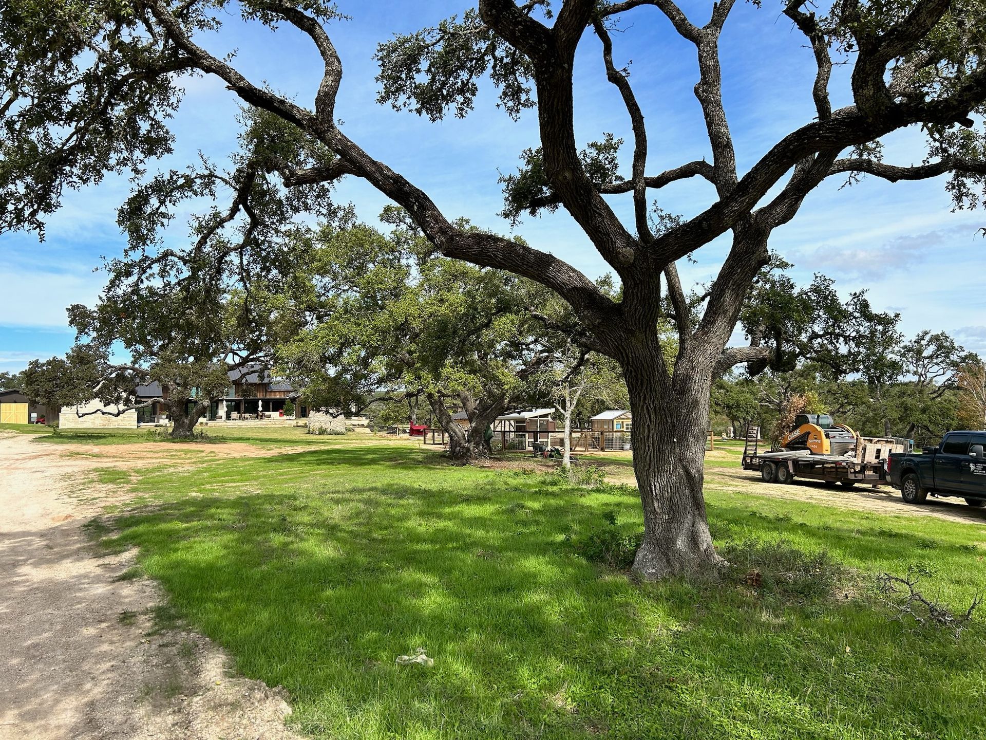 A truck is parked under a tree in a grassy field.