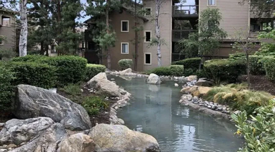 A landscaped garden with a narrow pond, large rocks, shrubs, and apartment buildings in the background