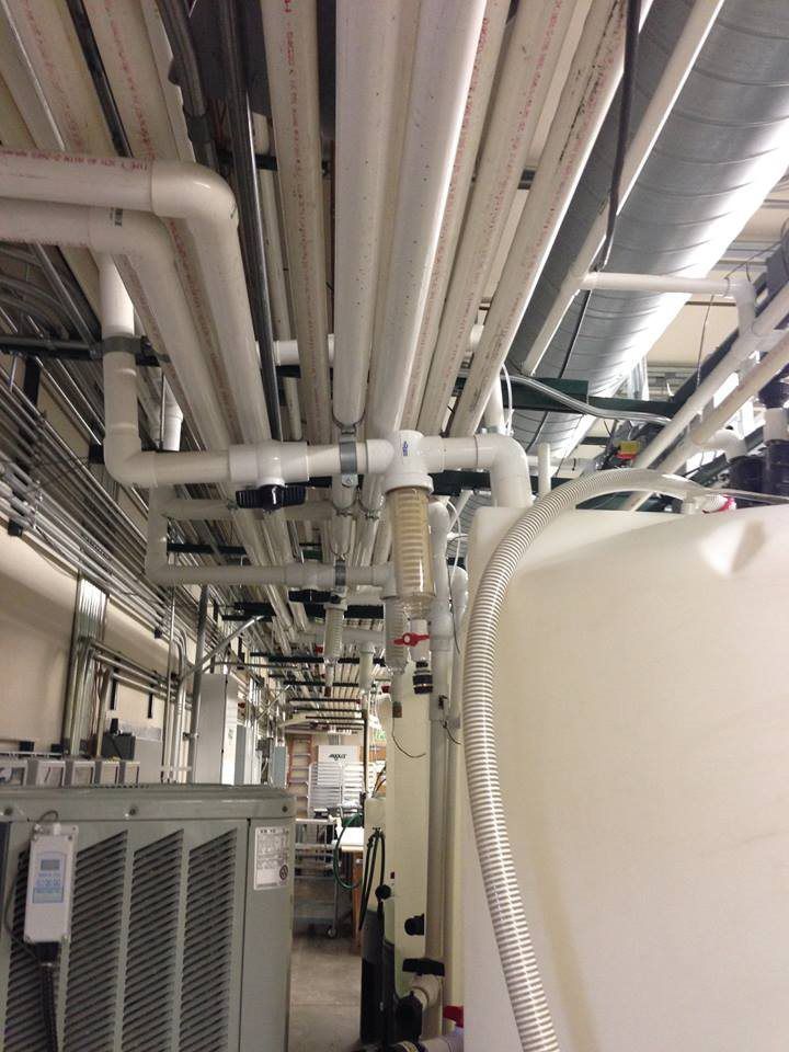 A room with a lot of pipes hanging from the ceiling