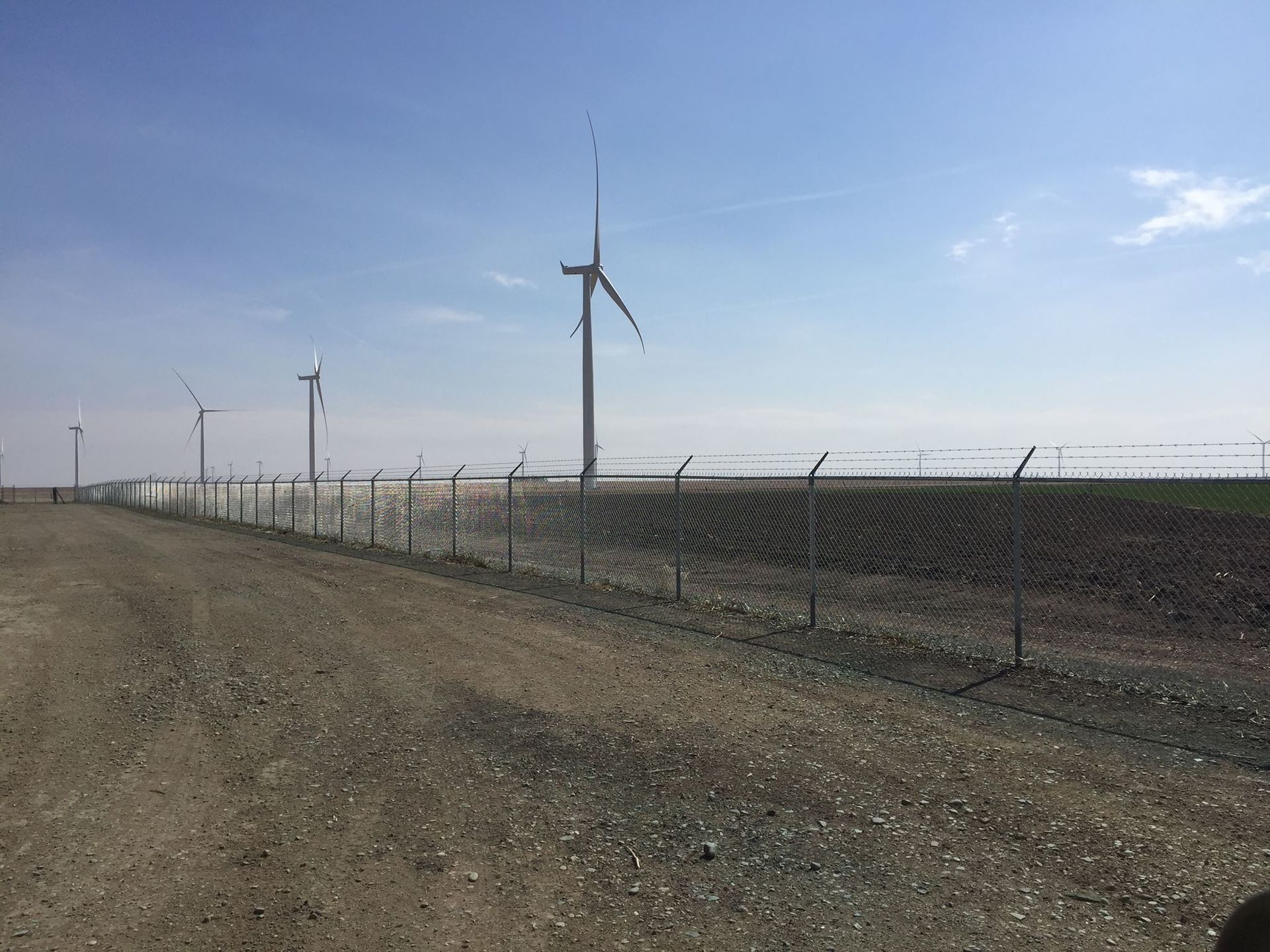 Wind turbines stand in a field behind a wire chain-link fence under a clear, bright blue sky.