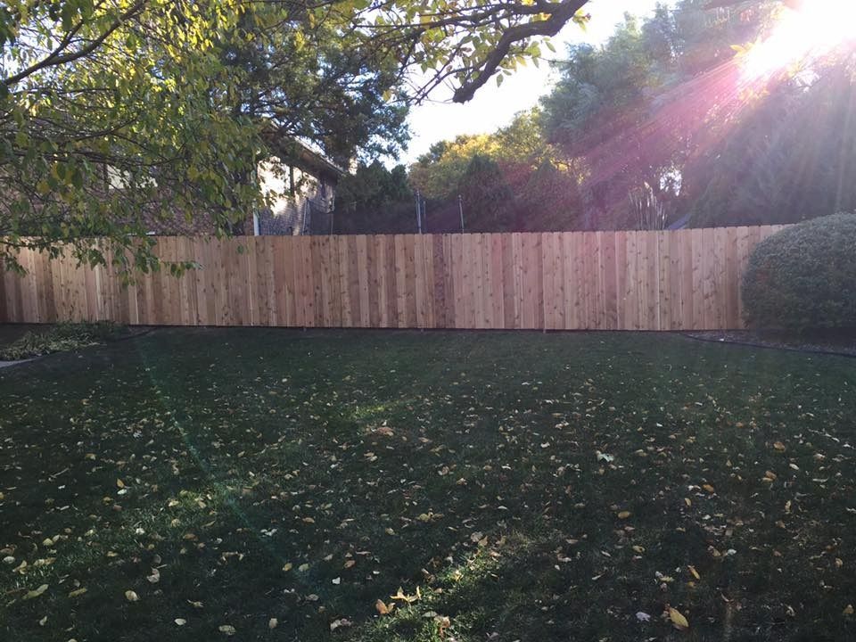 A wooden privacy fence stands at the back of a grassy lawn covered in scattered autumn leaves, with sunlight from above.