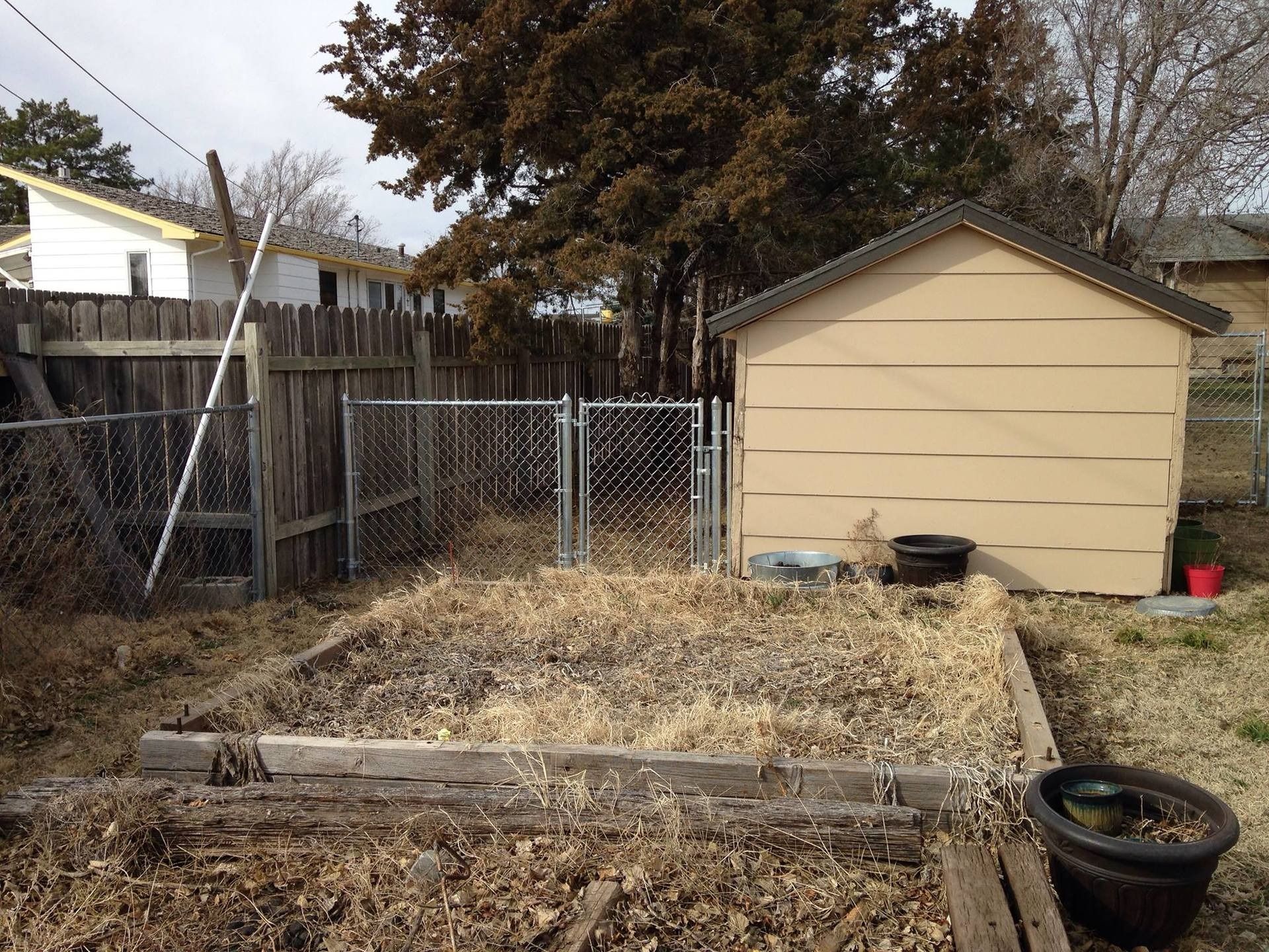 A raised garden bed covered in dry mulch sits in a yard in front of a tan shed, a chain-link gate, and a wooden fence.
