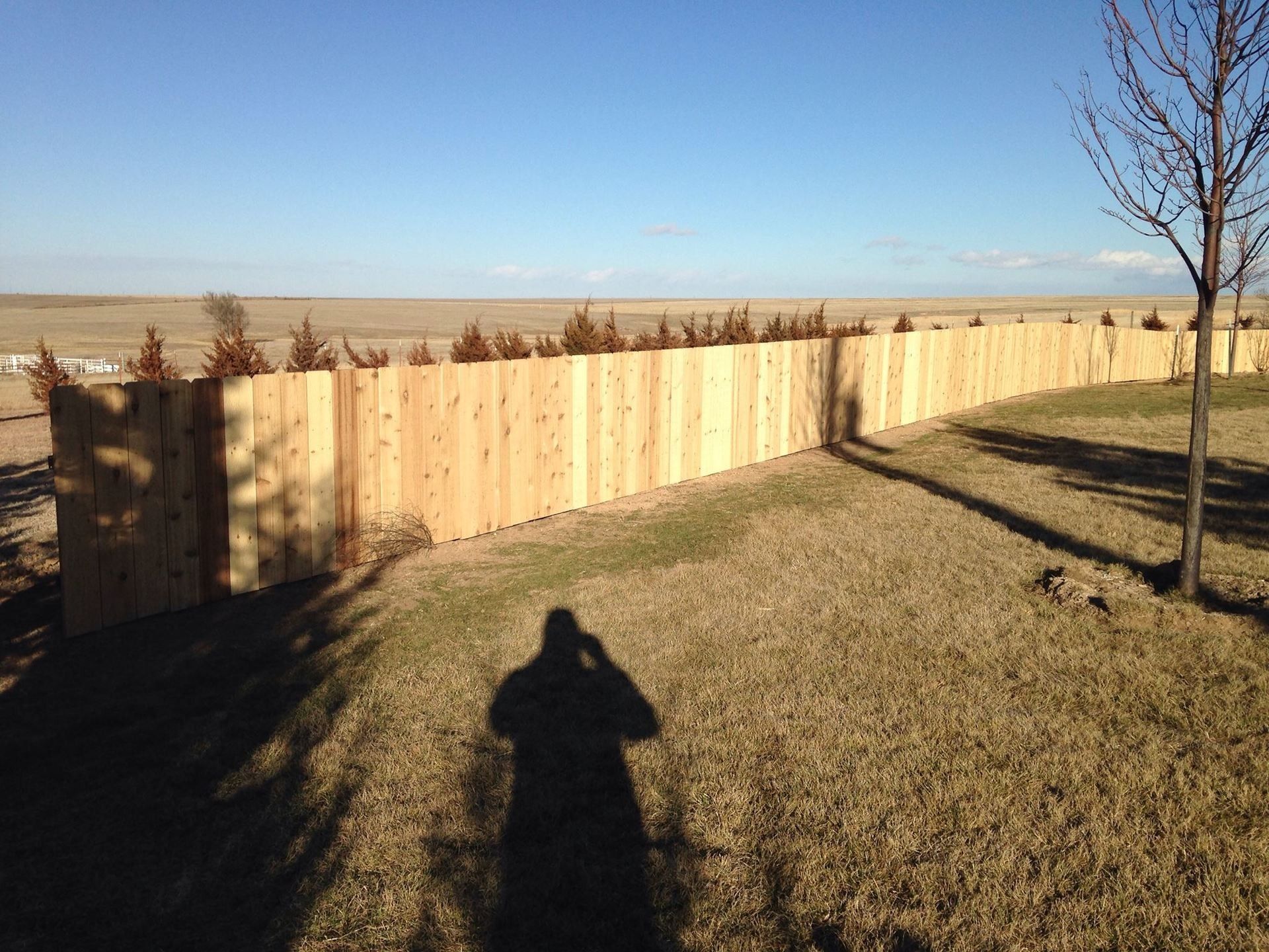A new, light-colored wooden fence stands on a grassy lawn with a treeline and open landscape in the background.