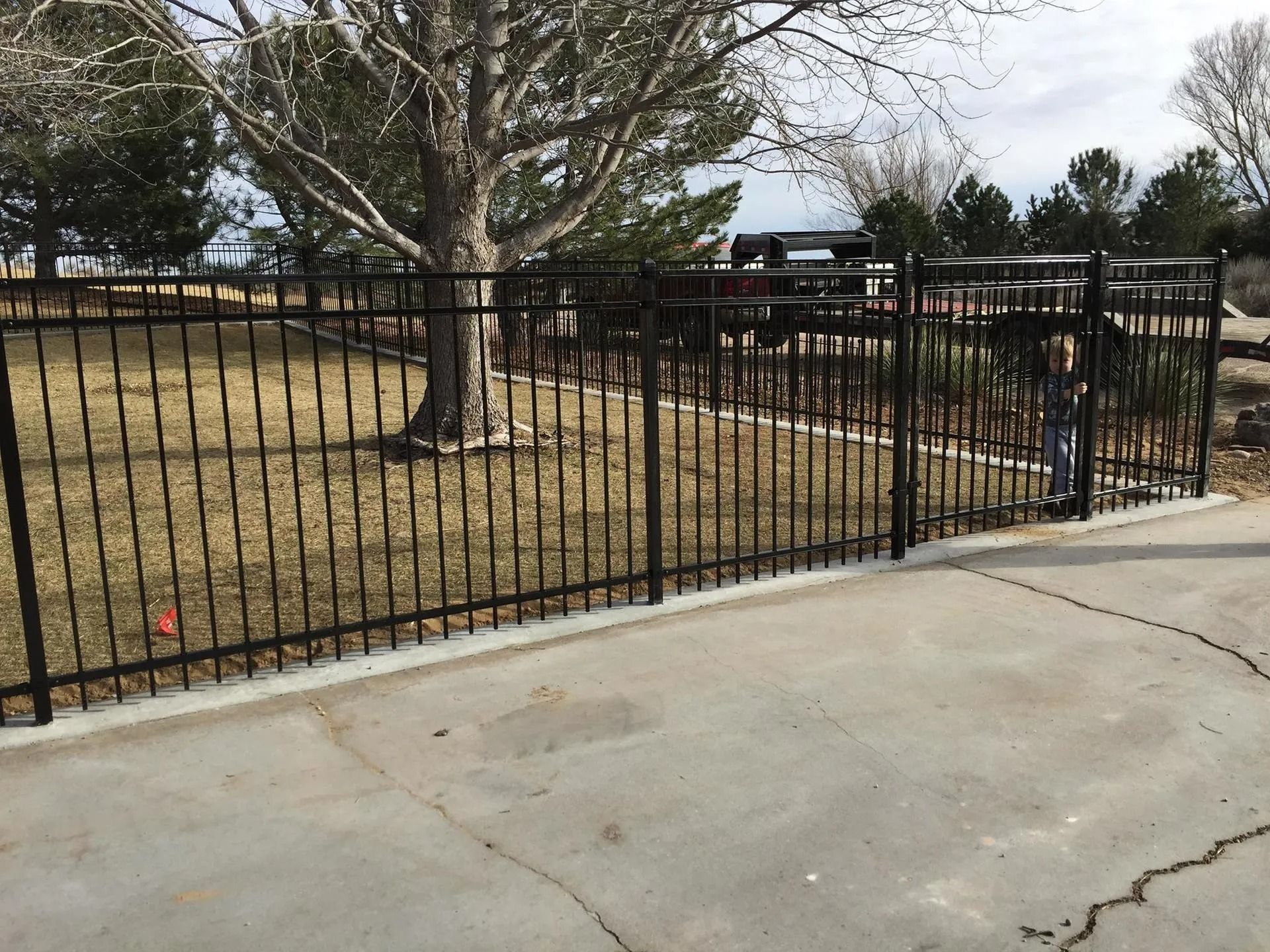 A black metal fence runs along the edge of a concrete driveway, with a large tree behind it.