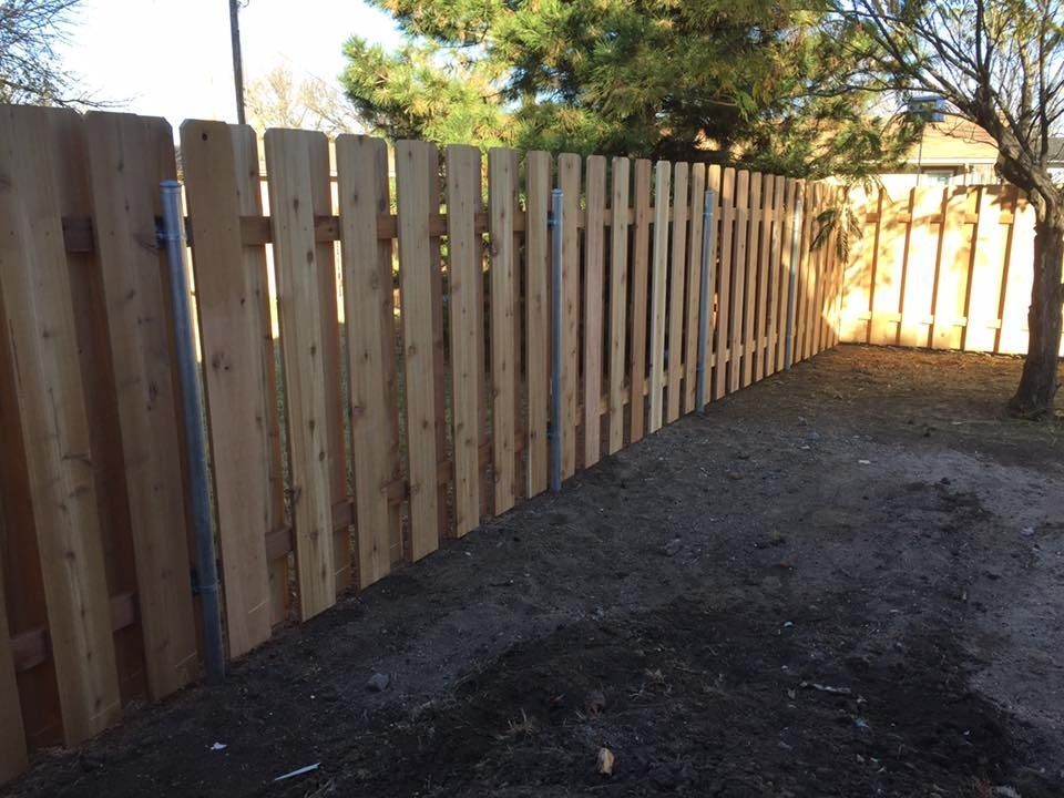 A new cedar wood privacy fence stands in a backyard with metal posts and natural light filtering through nearby trees.