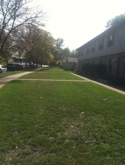 A lush green lawn with a building in the background
