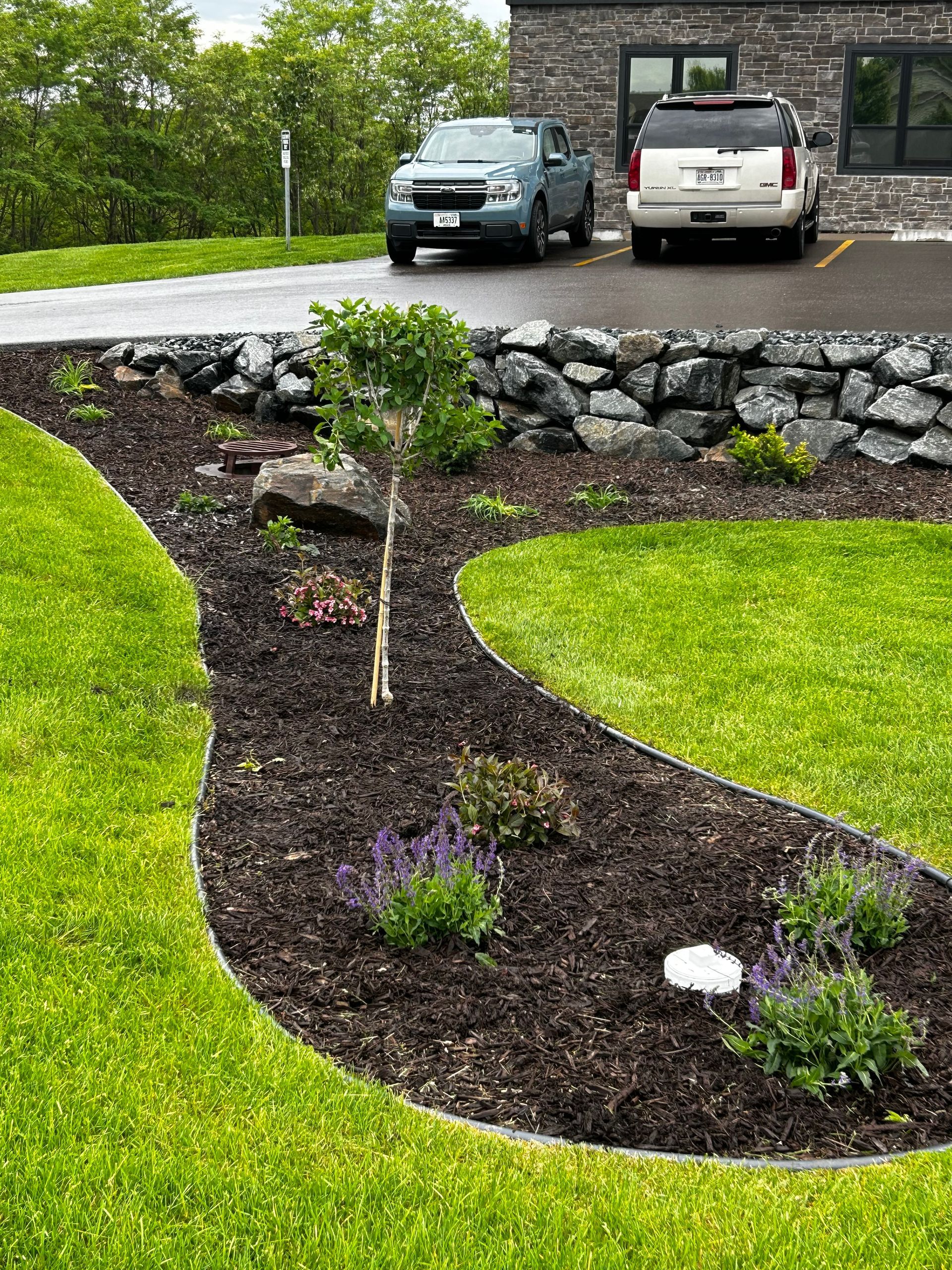 Two cars are parked in a driveway next to a lush green lawn.