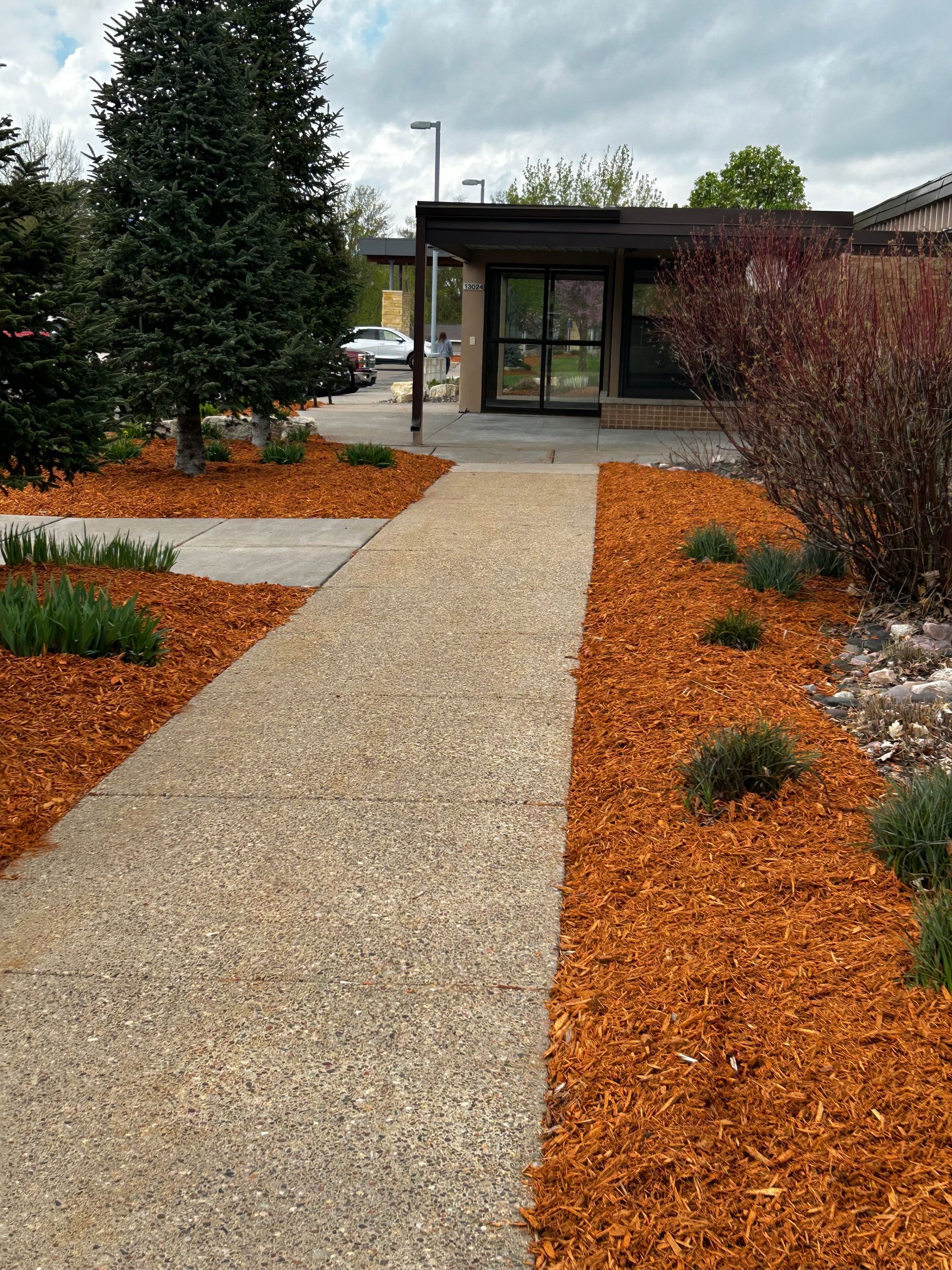 A walkway leading to a building surrounded by mulch and trees.