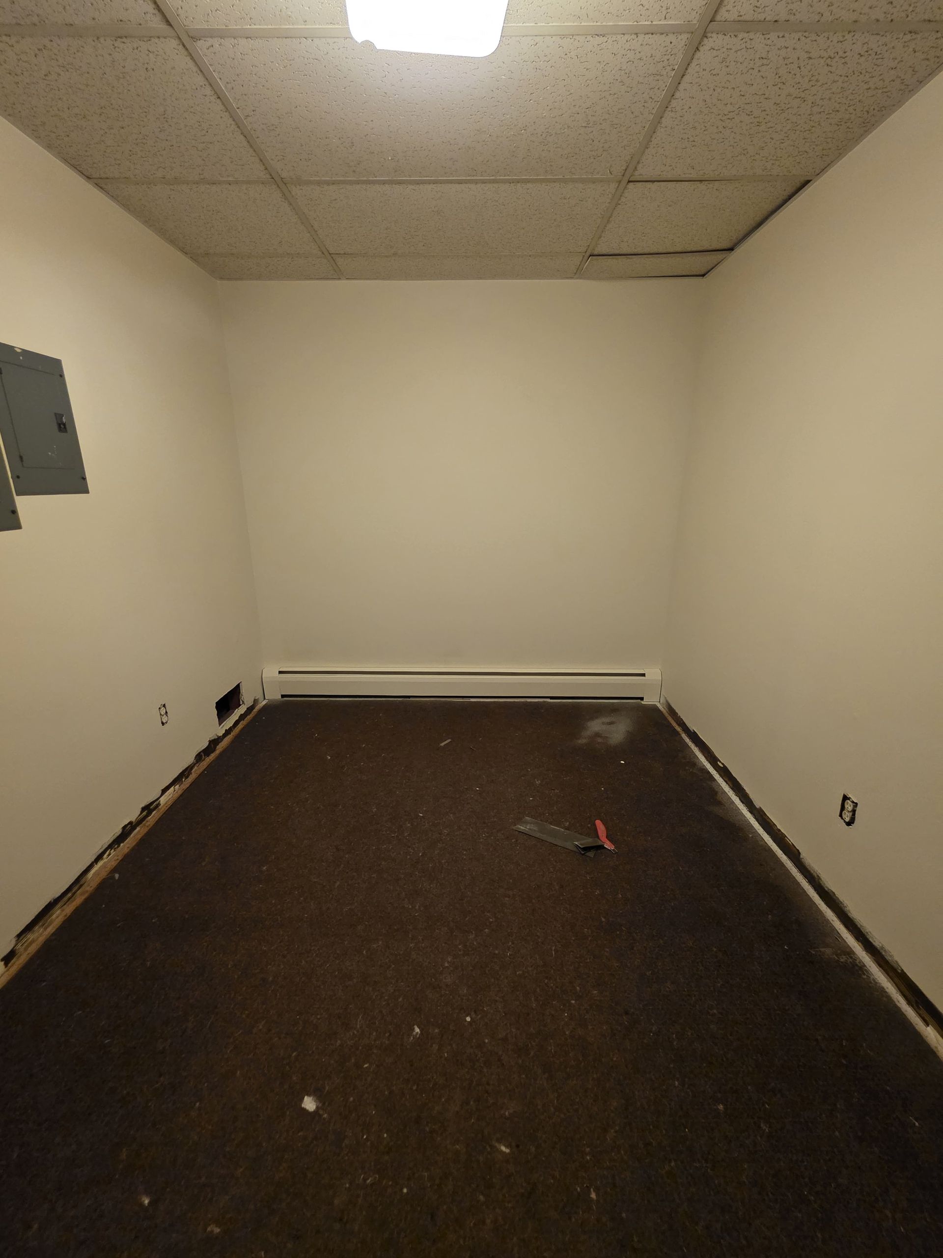 Empty beige room with drop ceiling, dark carpet, and wall utility panels.