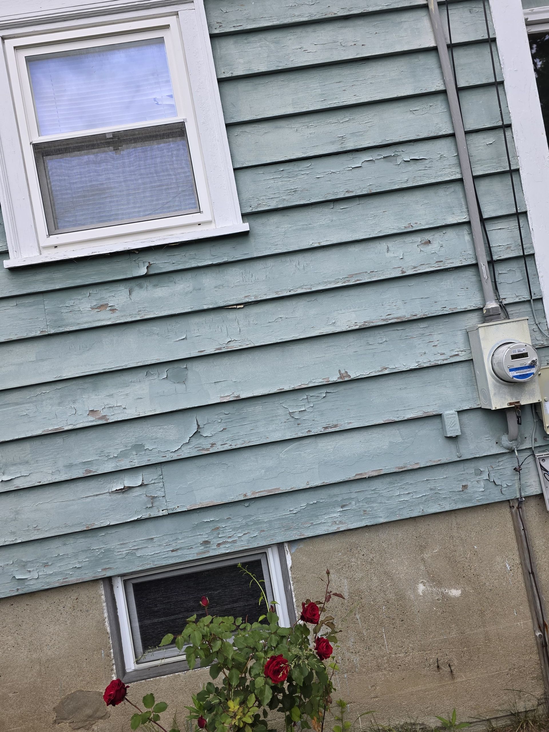 Blue-gray house siding with two windows, utility meter, and red flowers below